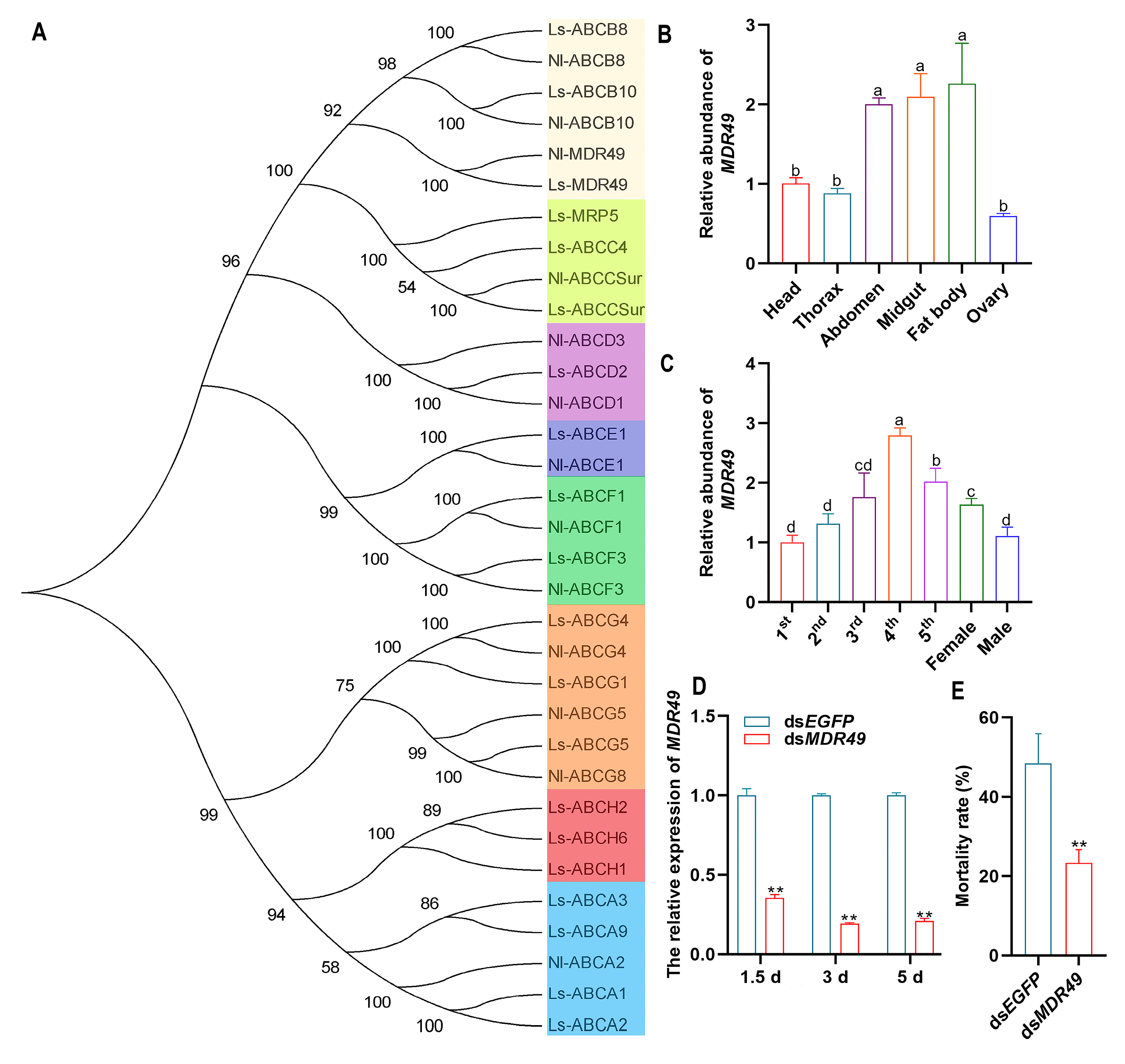Agronomy 14 02420 g004