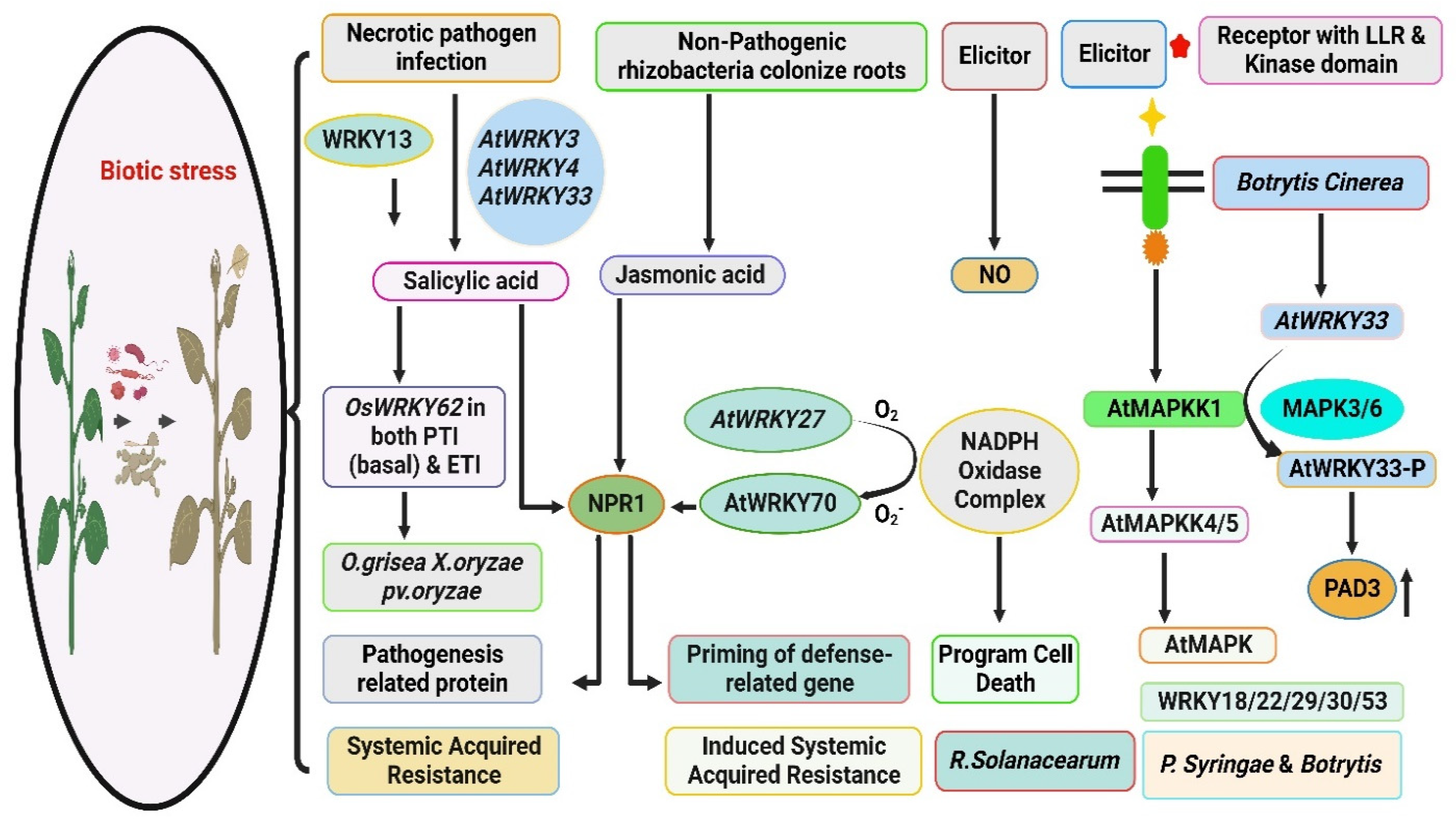 Agronomy 14 02421 g003
