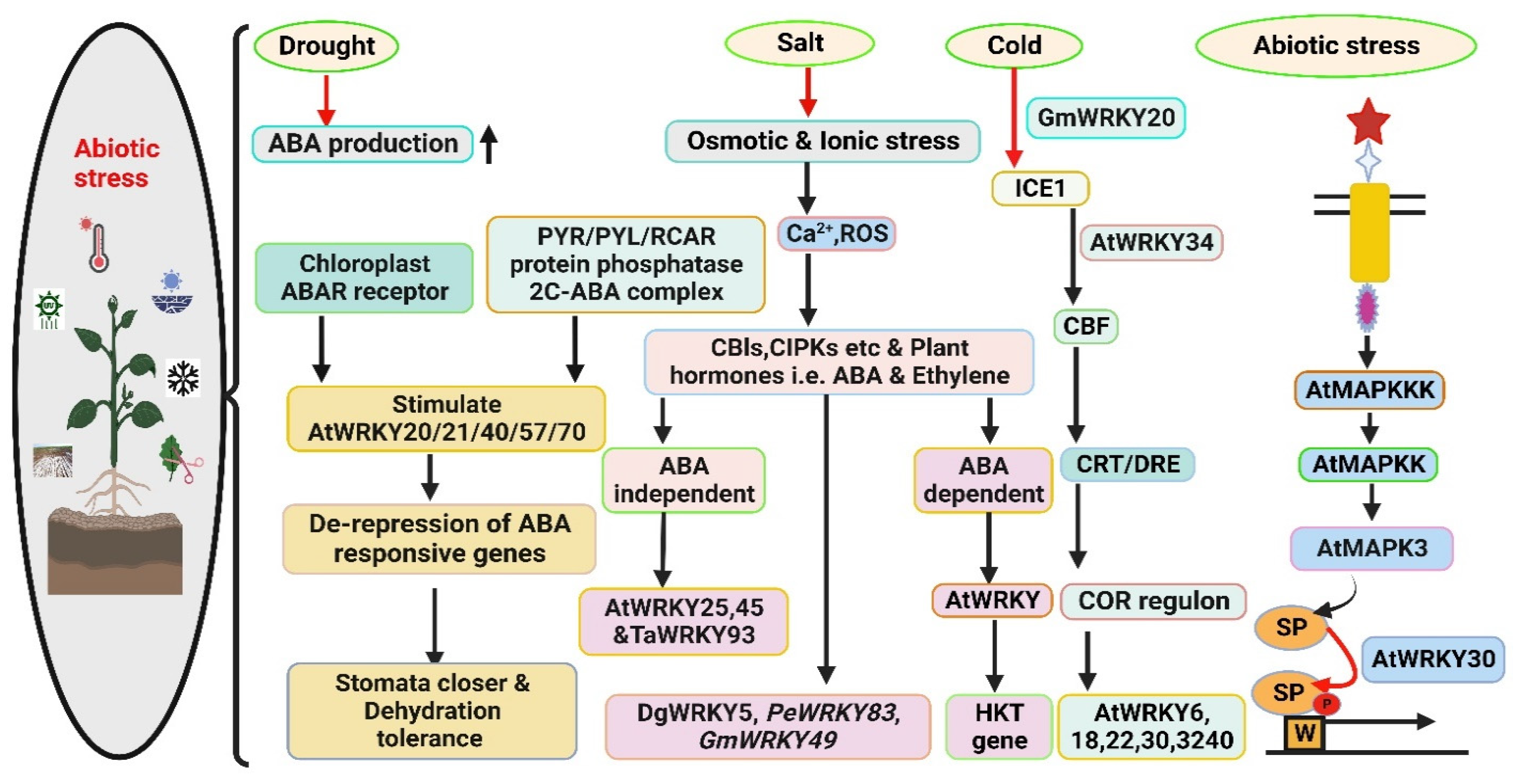 Agronomy 14 02421 g004