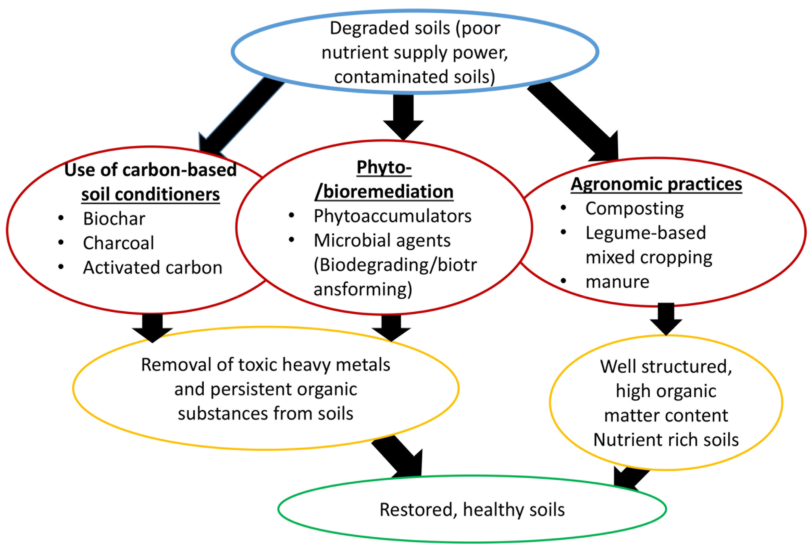 Agronomy 14 02423 g002