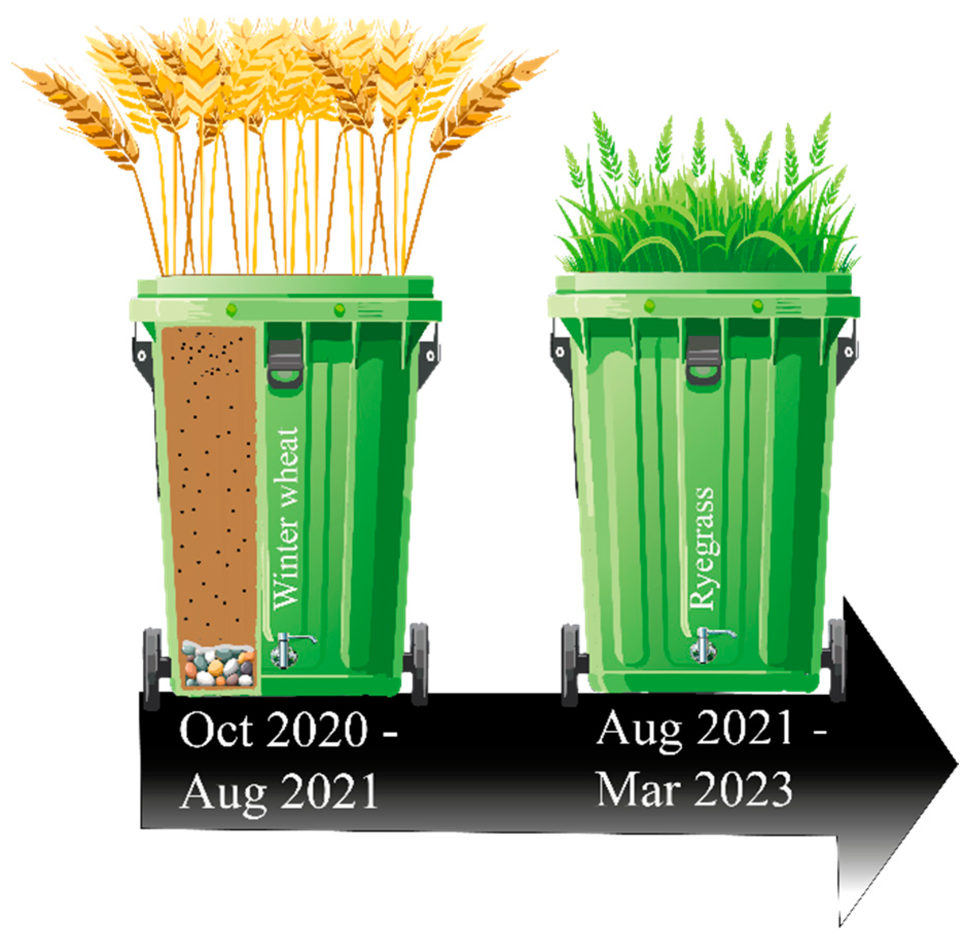 Agronomy 14 02424 g001