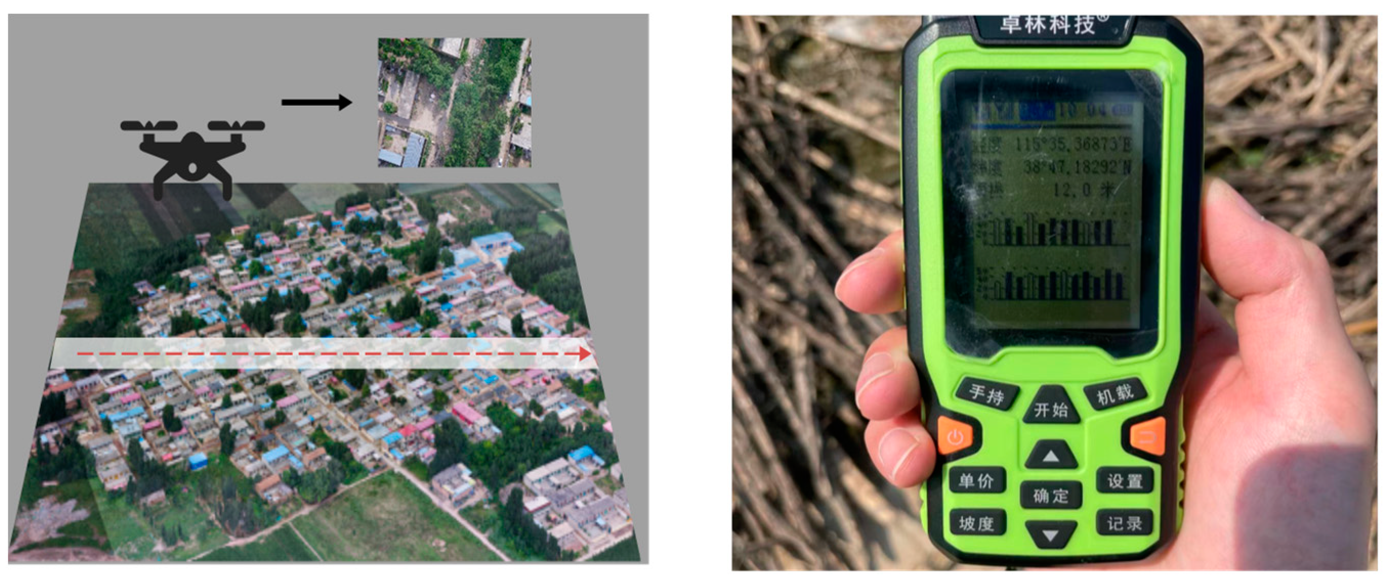 Agronomy 14 02433 g004