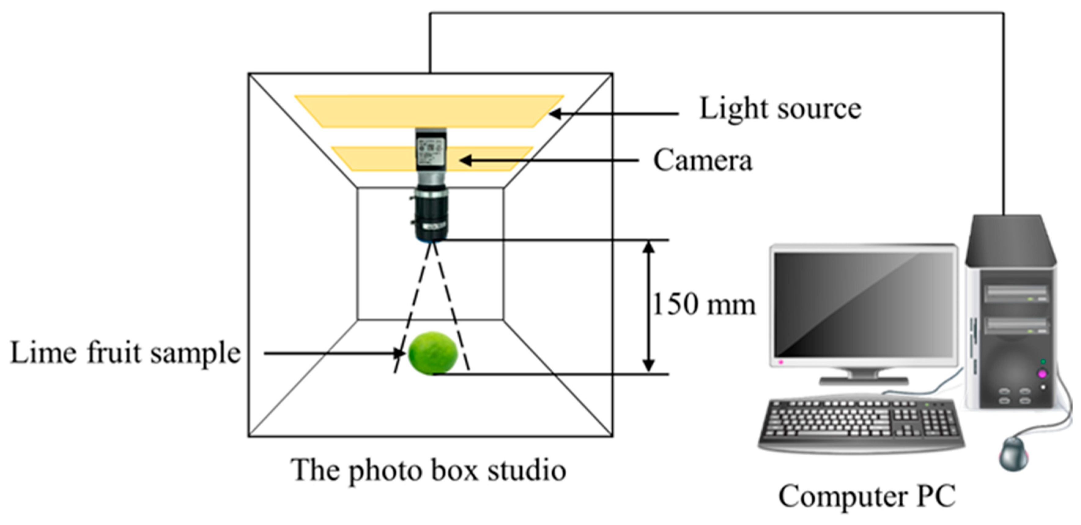 Agronomy 14 02434 g001