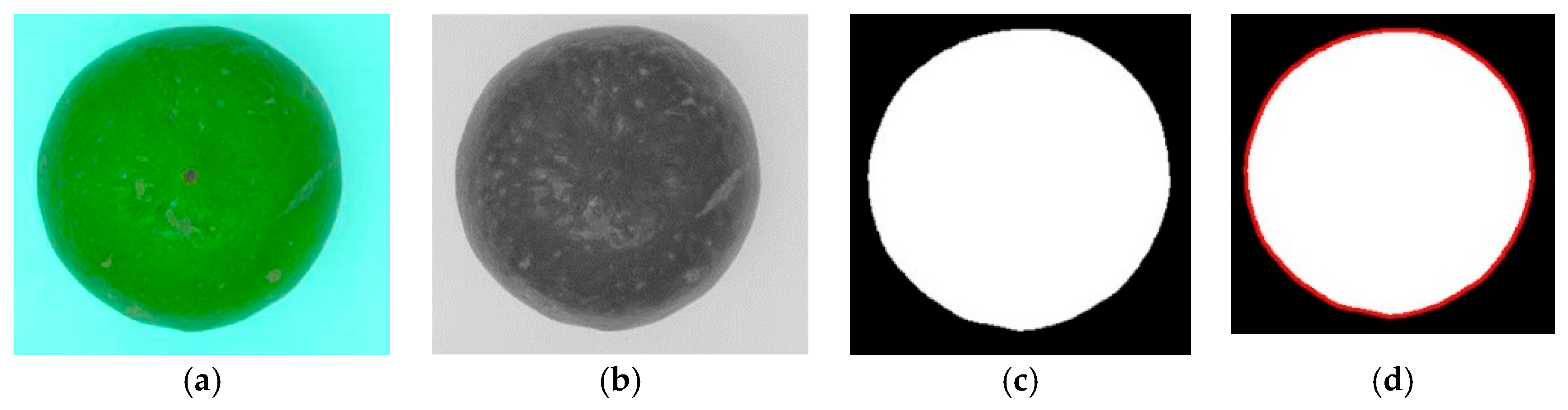 Agronomy 14 02434 g002