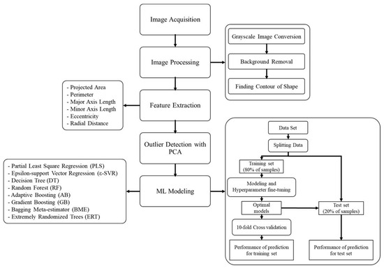 Estimation of the Weight and Volume of Lime (Citrus aurantifolia ...