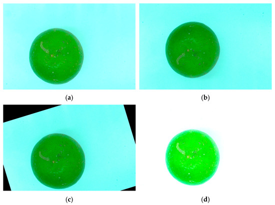 Estimation of the Weight and Volume of Lime (Citrus aurantifolia ...