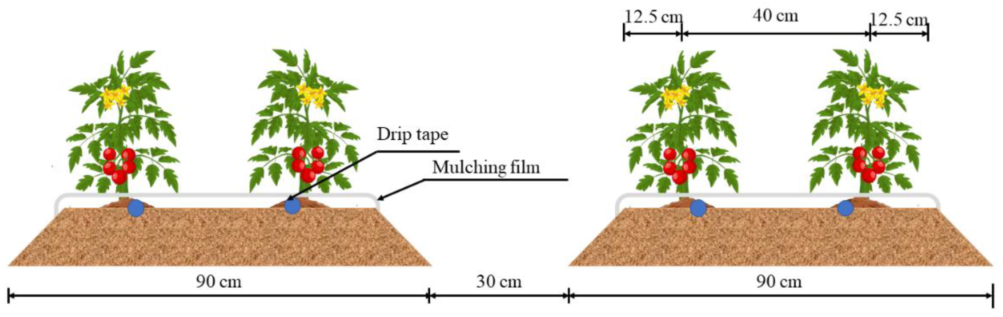 Agronomy 14 02439 g002