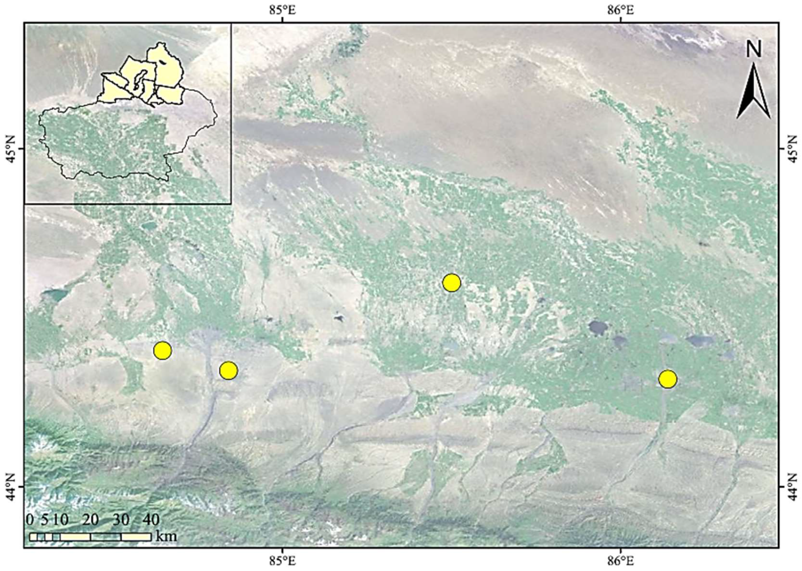 Agronomy 14 02444 g001