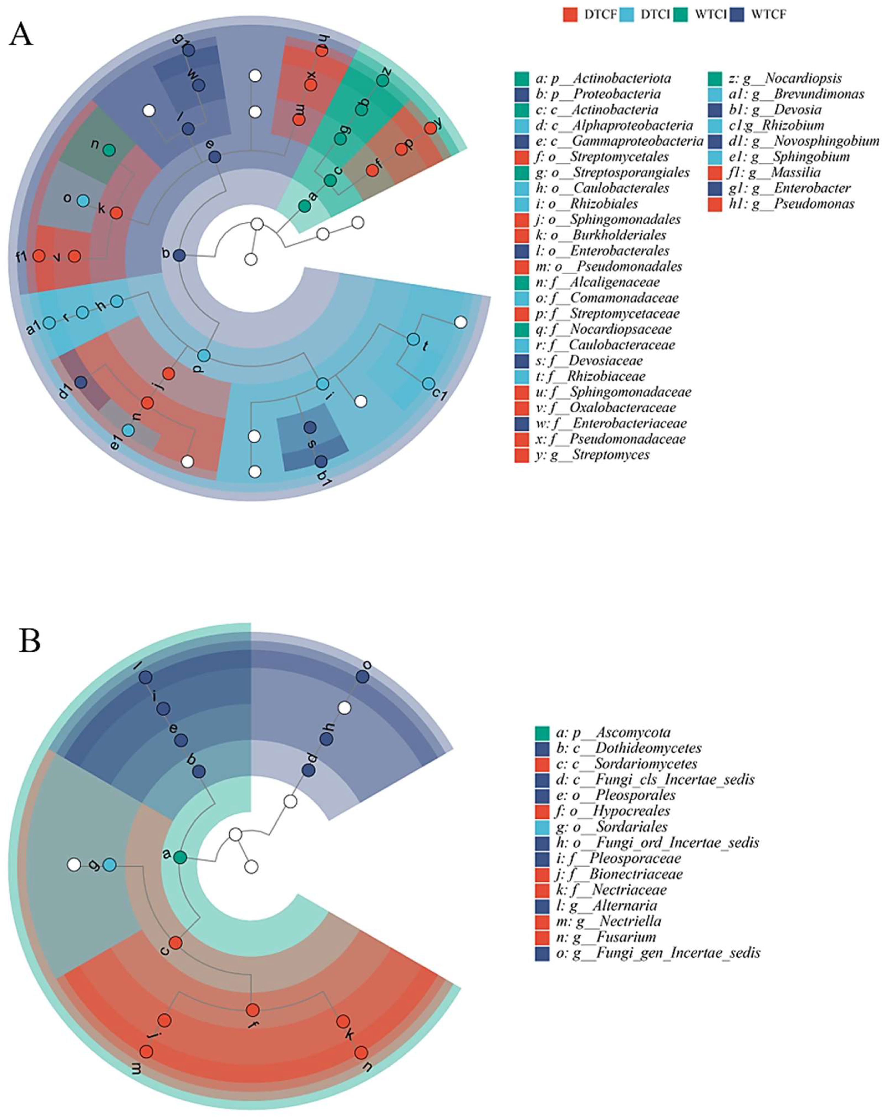 Agronomy 14 02444 g006