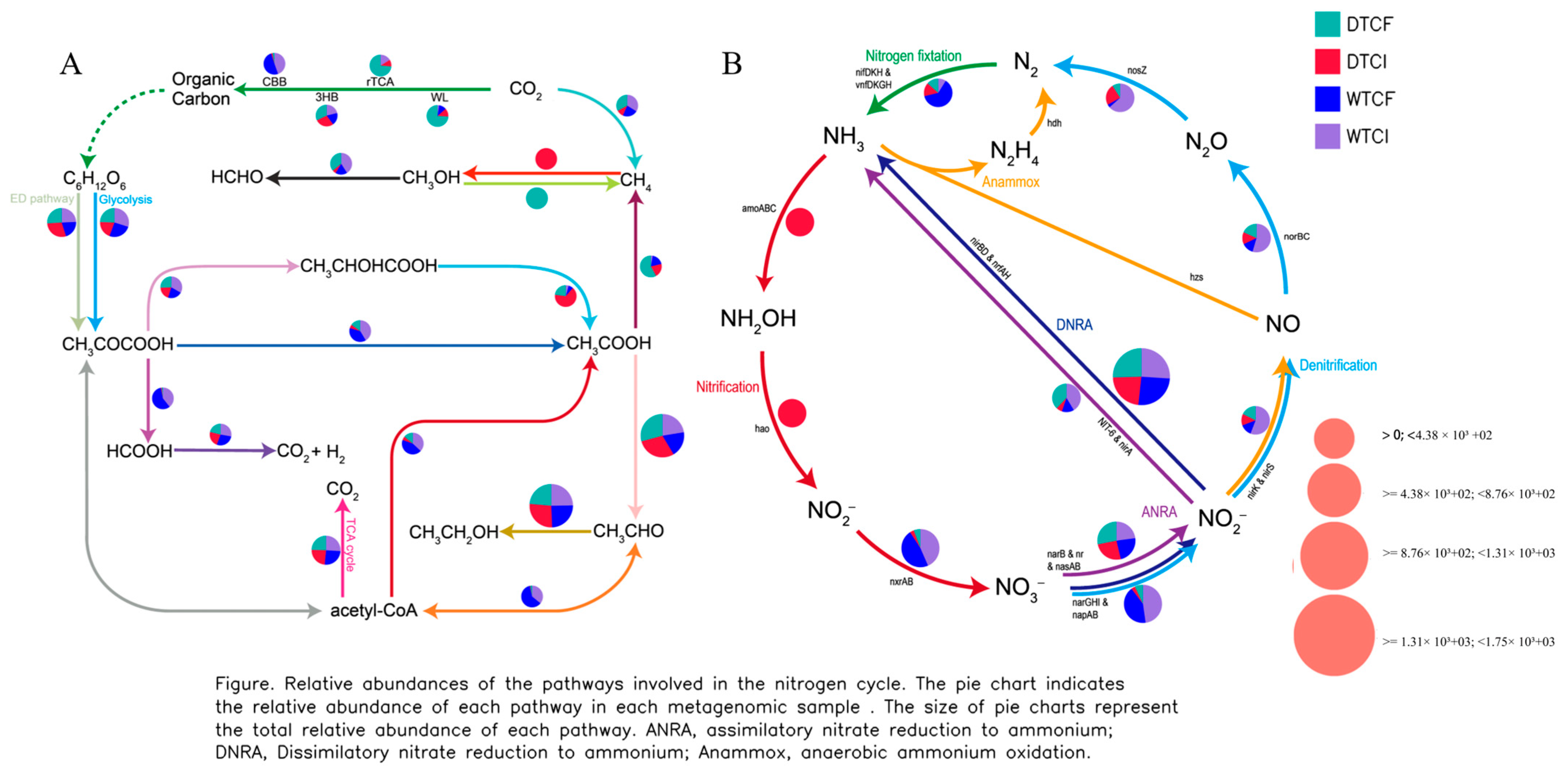 Agronomy 14 02444 g008