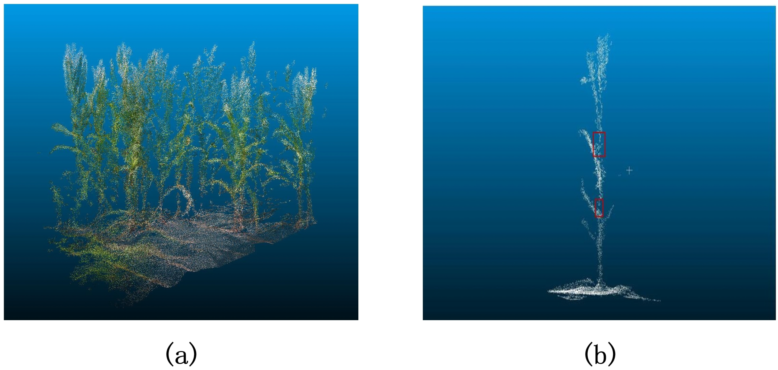 Agronomy 14 02446 g001