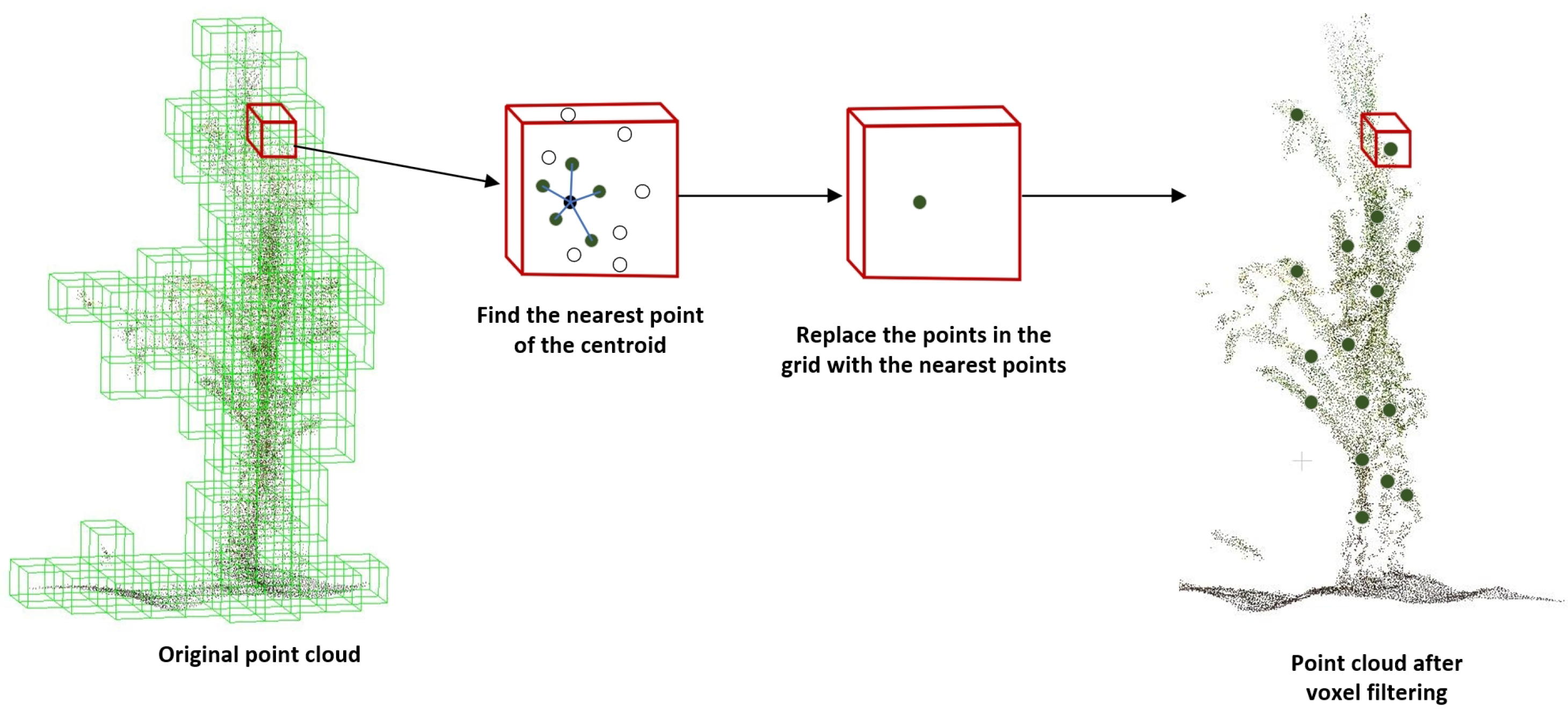 Agronomy 14 02446 g002
