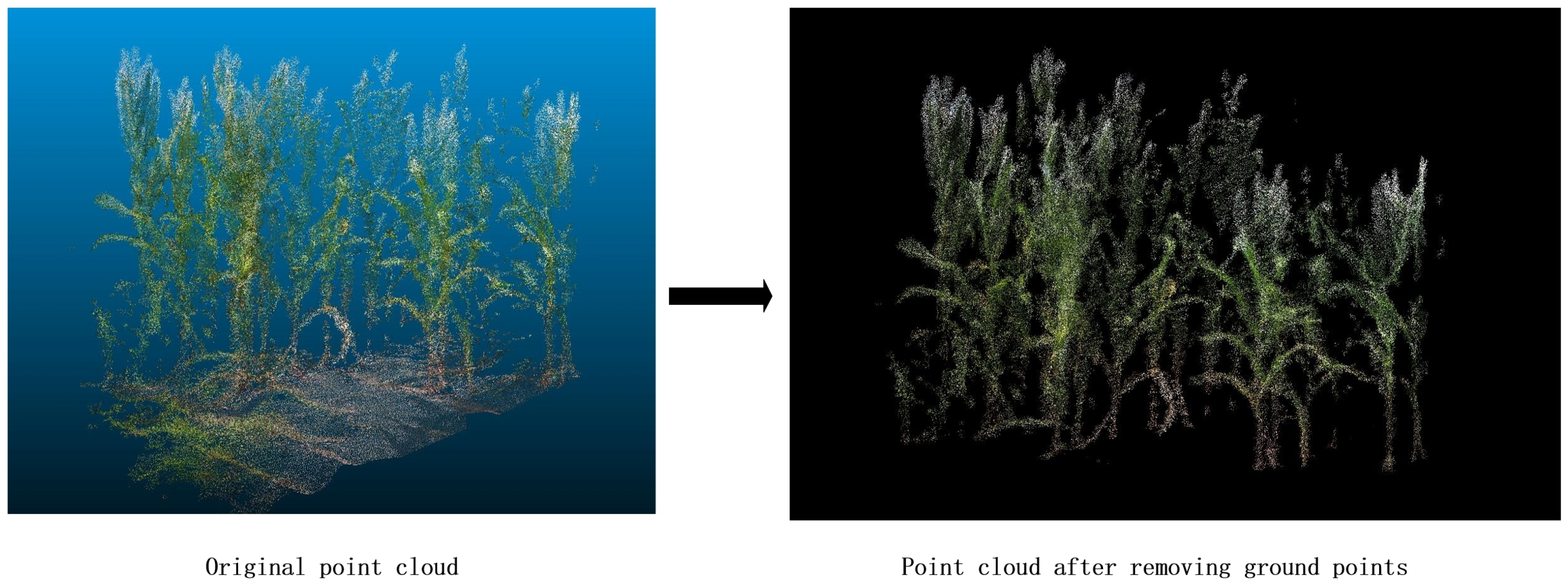 Agronomy 14 02446 g003