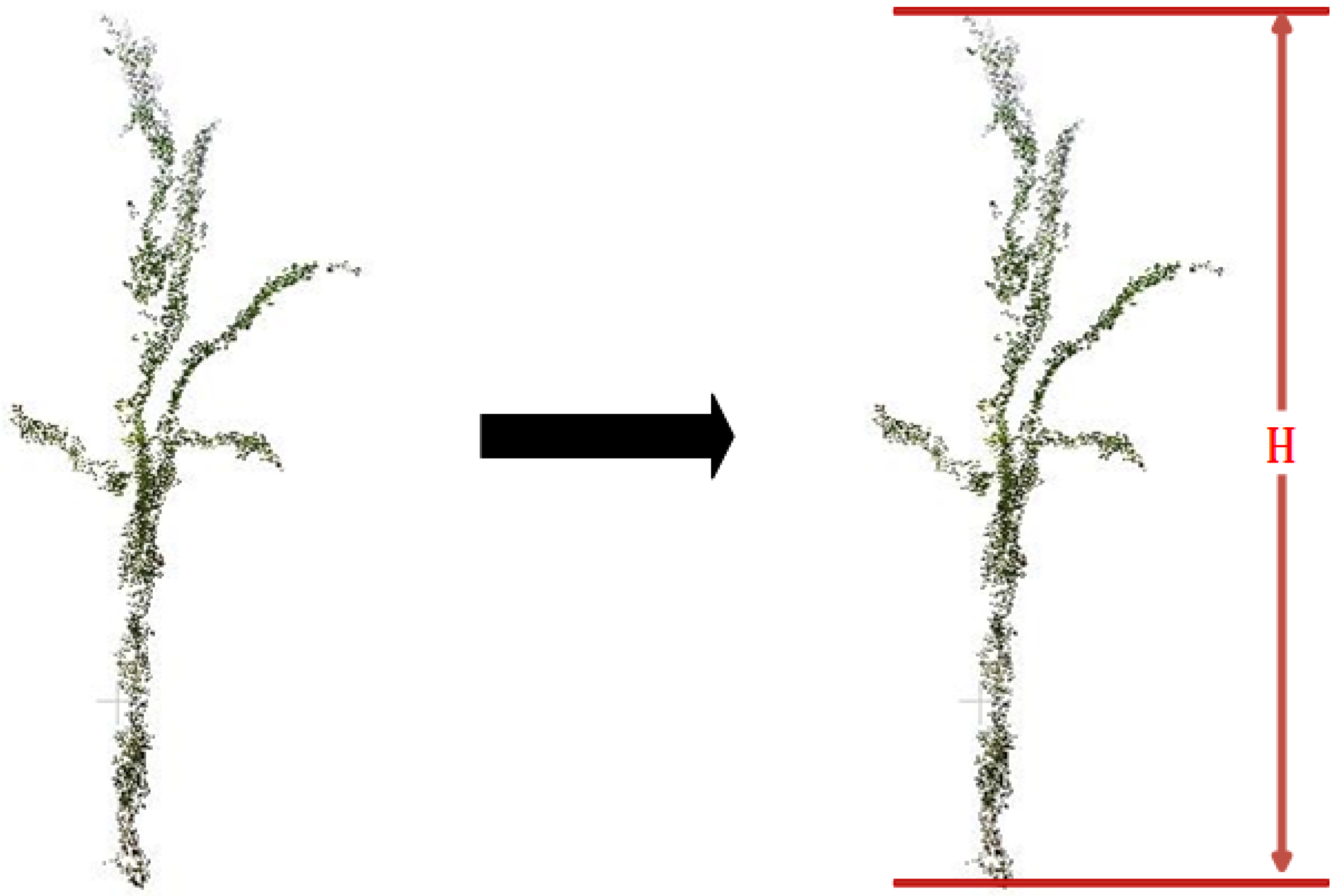 Agronomy 14 02446 g009