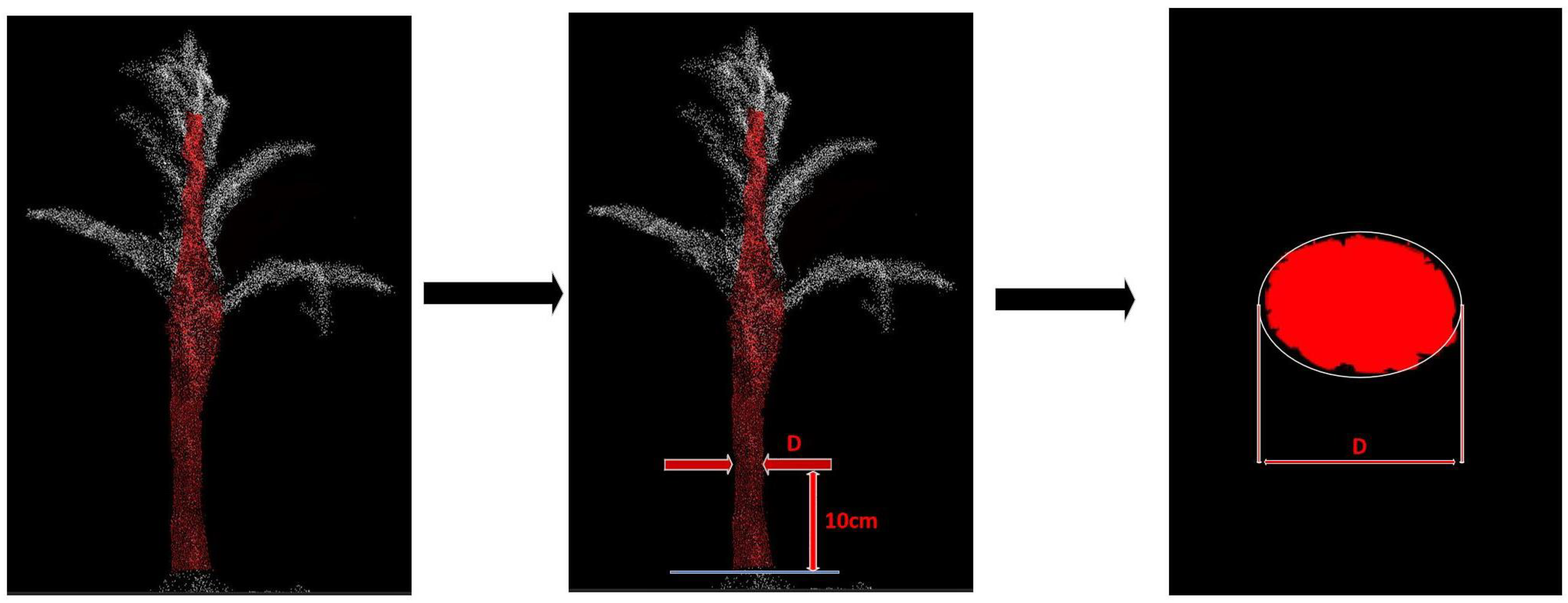 Agronomy 14 02446 g010