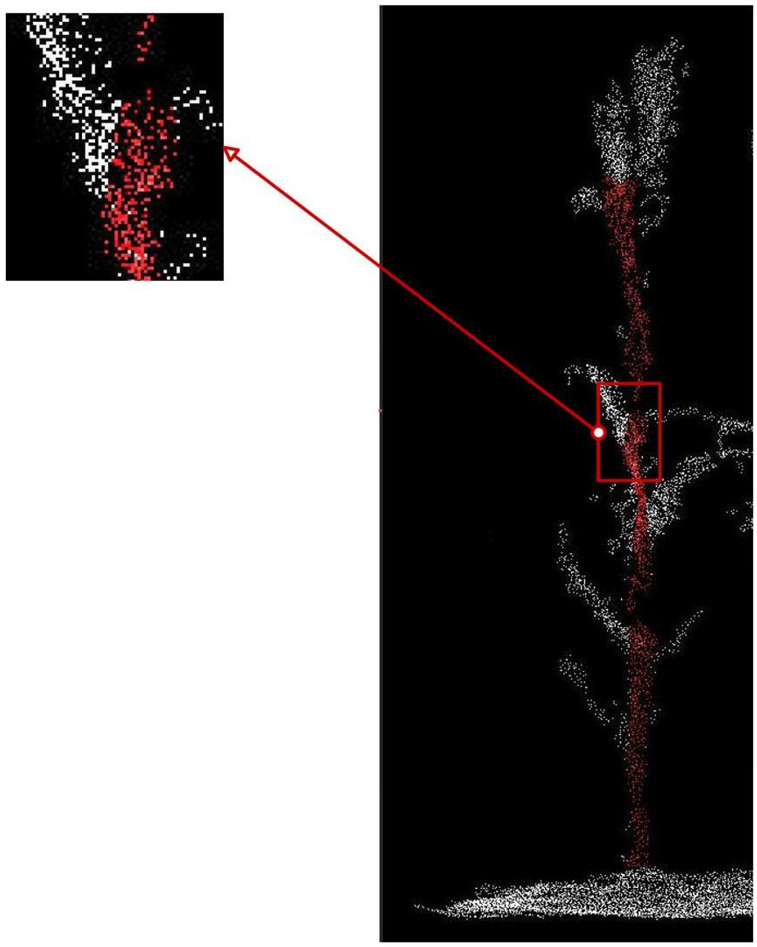 Agronomy 14 02446 g011
