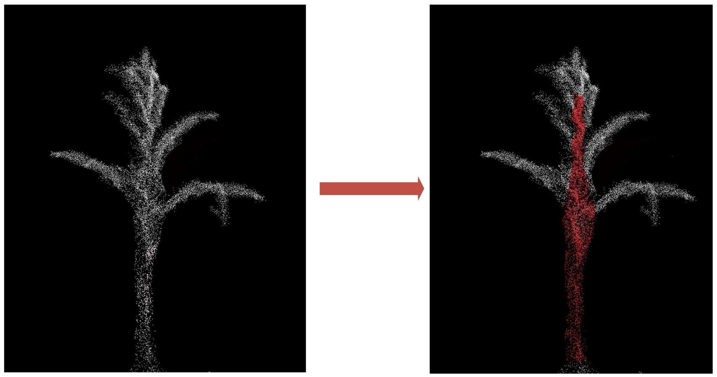 Agronomy 14 02446 g012