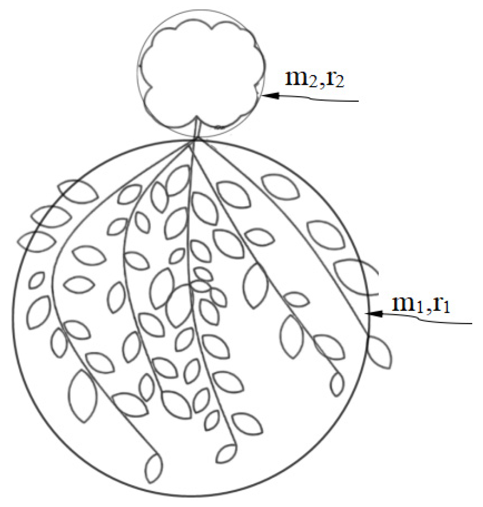 Agronomy 14 02447 g003