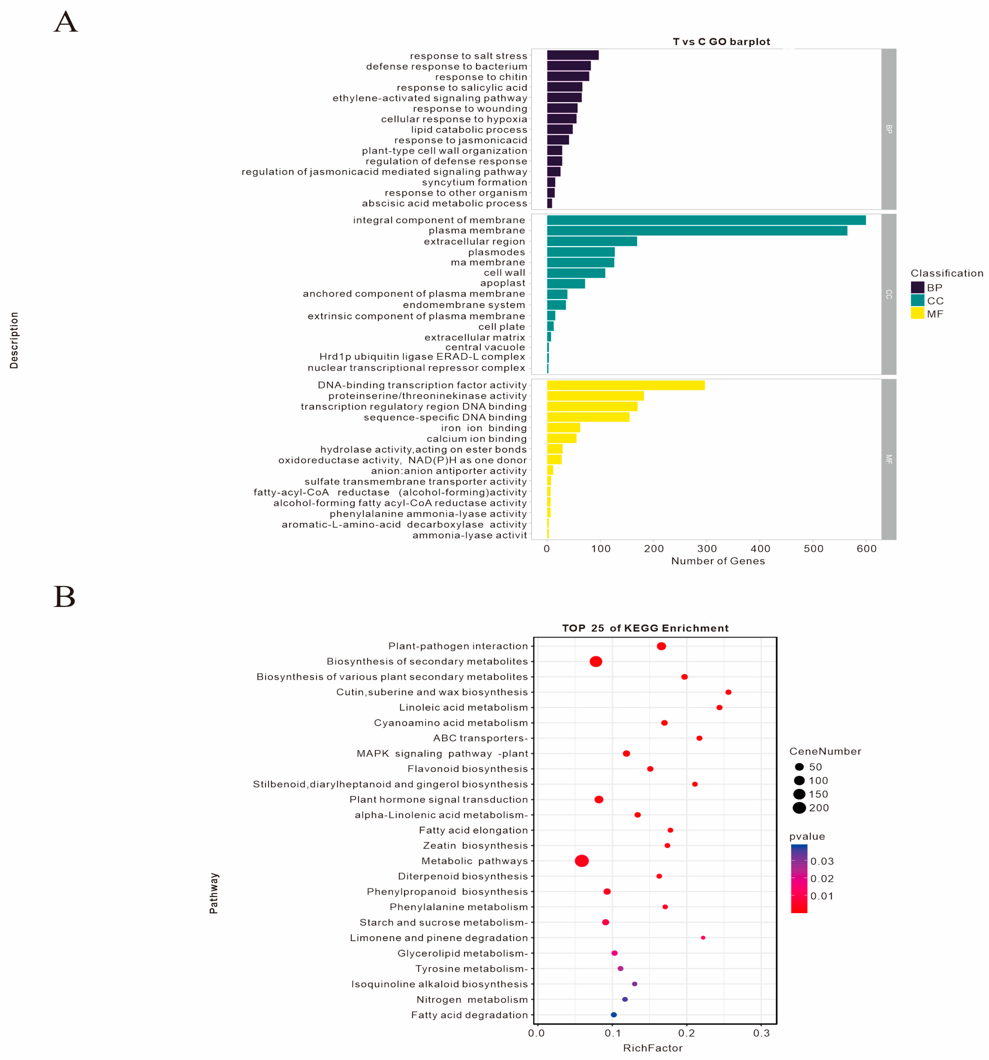Agronomy 14 02455 g001