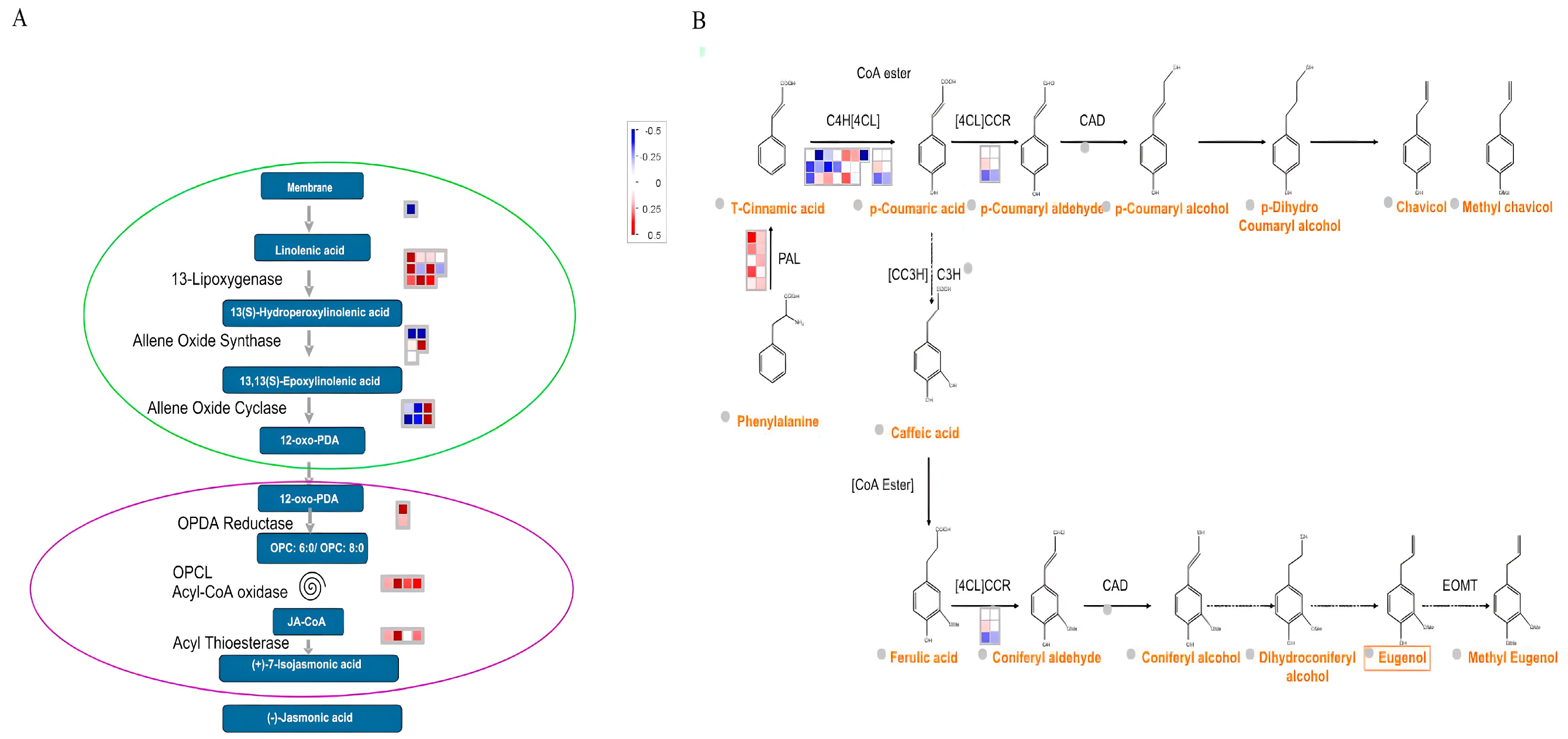 Agronomy 14 02455 g002