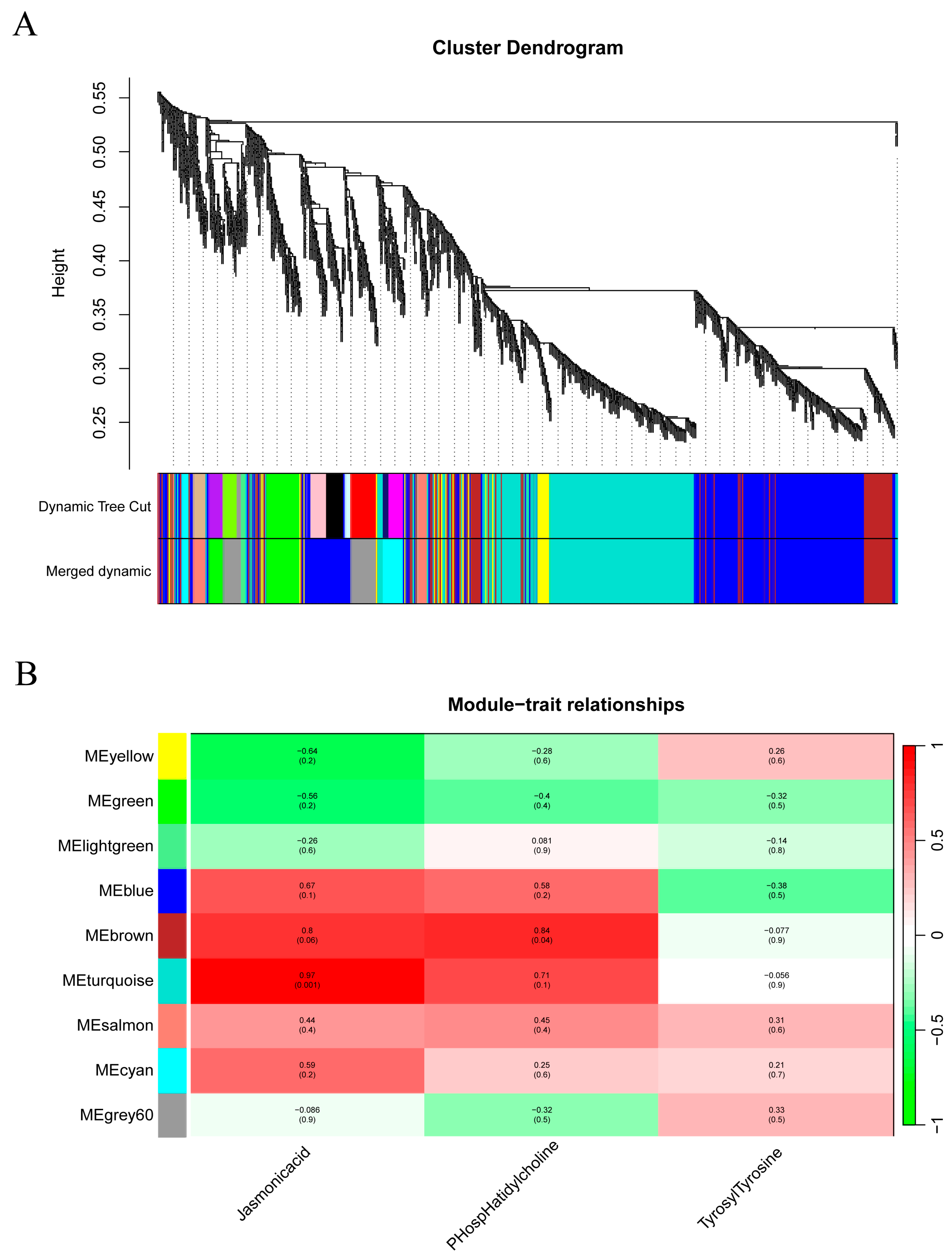 Agronomy 14 02455 g004