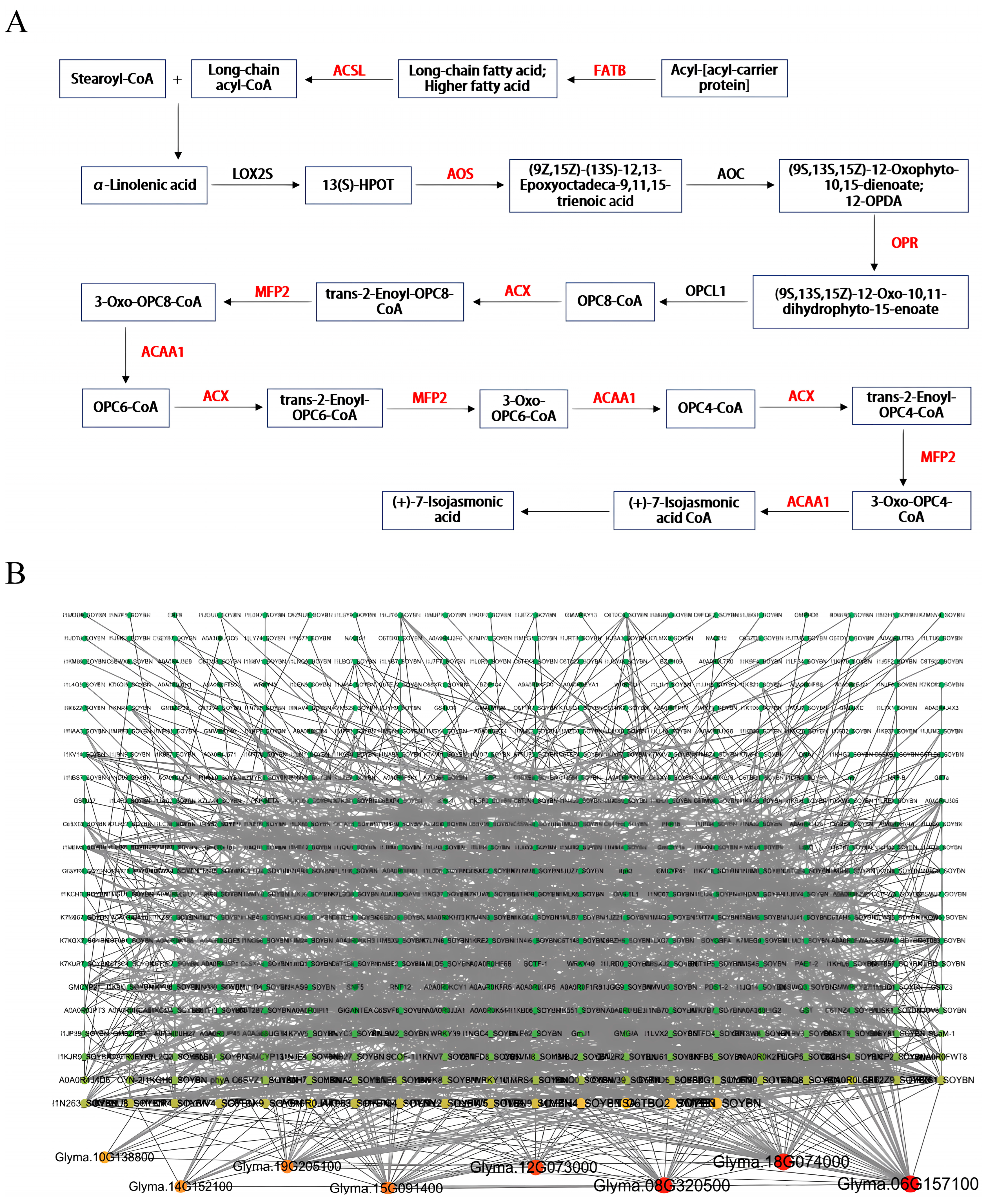 Agronomy 14 02455 g007
