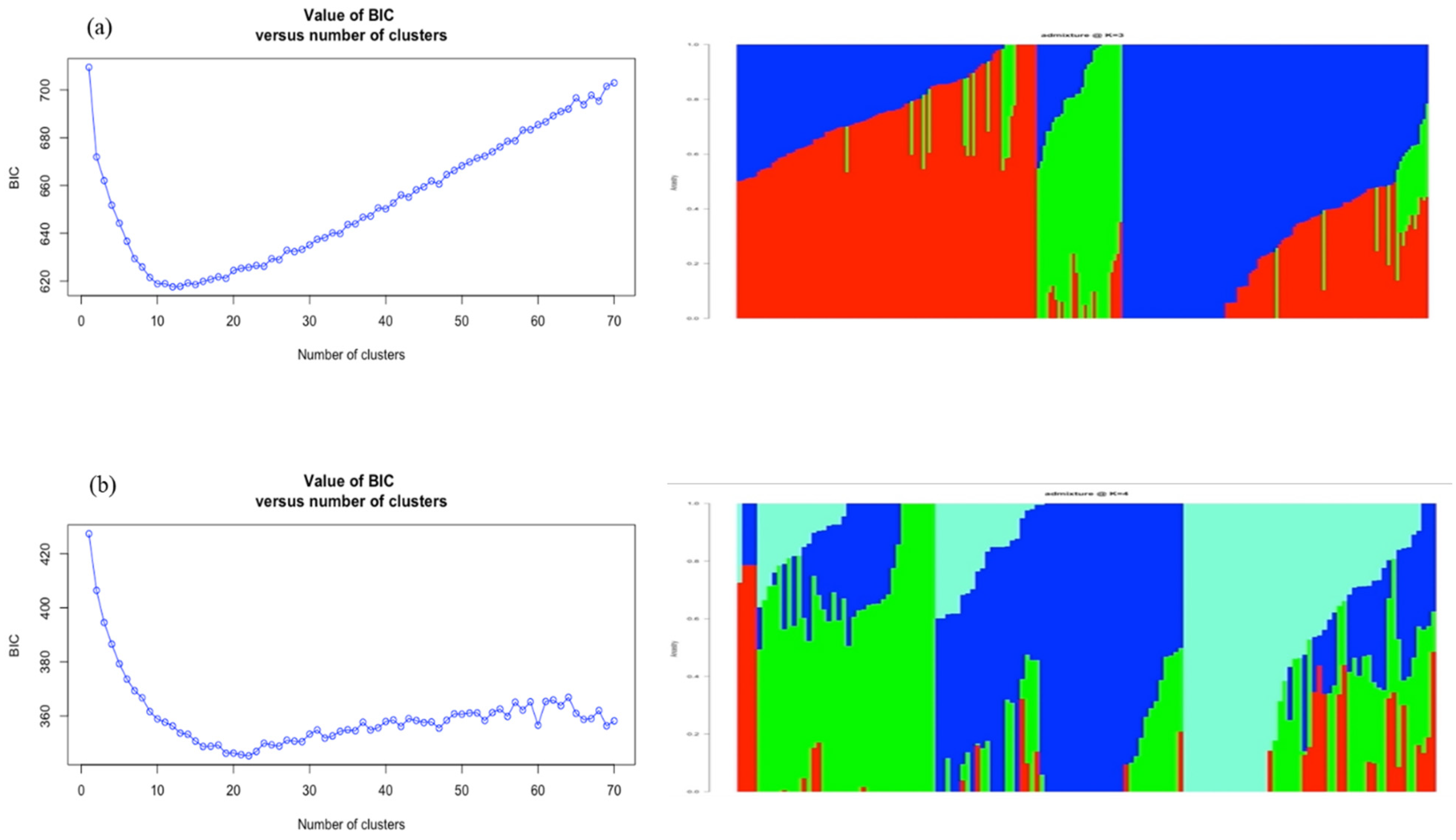 Genetic Diversity and Population Structure of Cacao