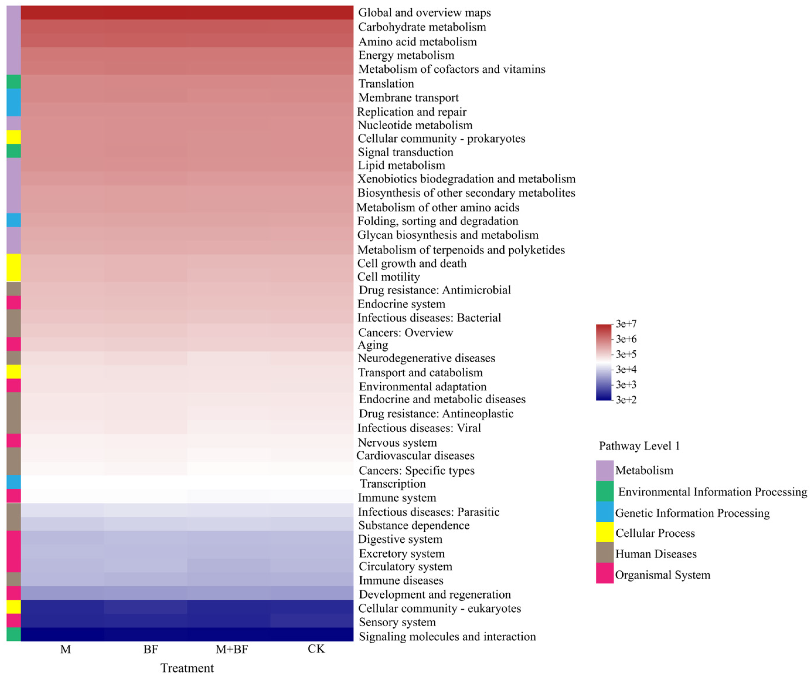 Agronomy 14 02459 g006
