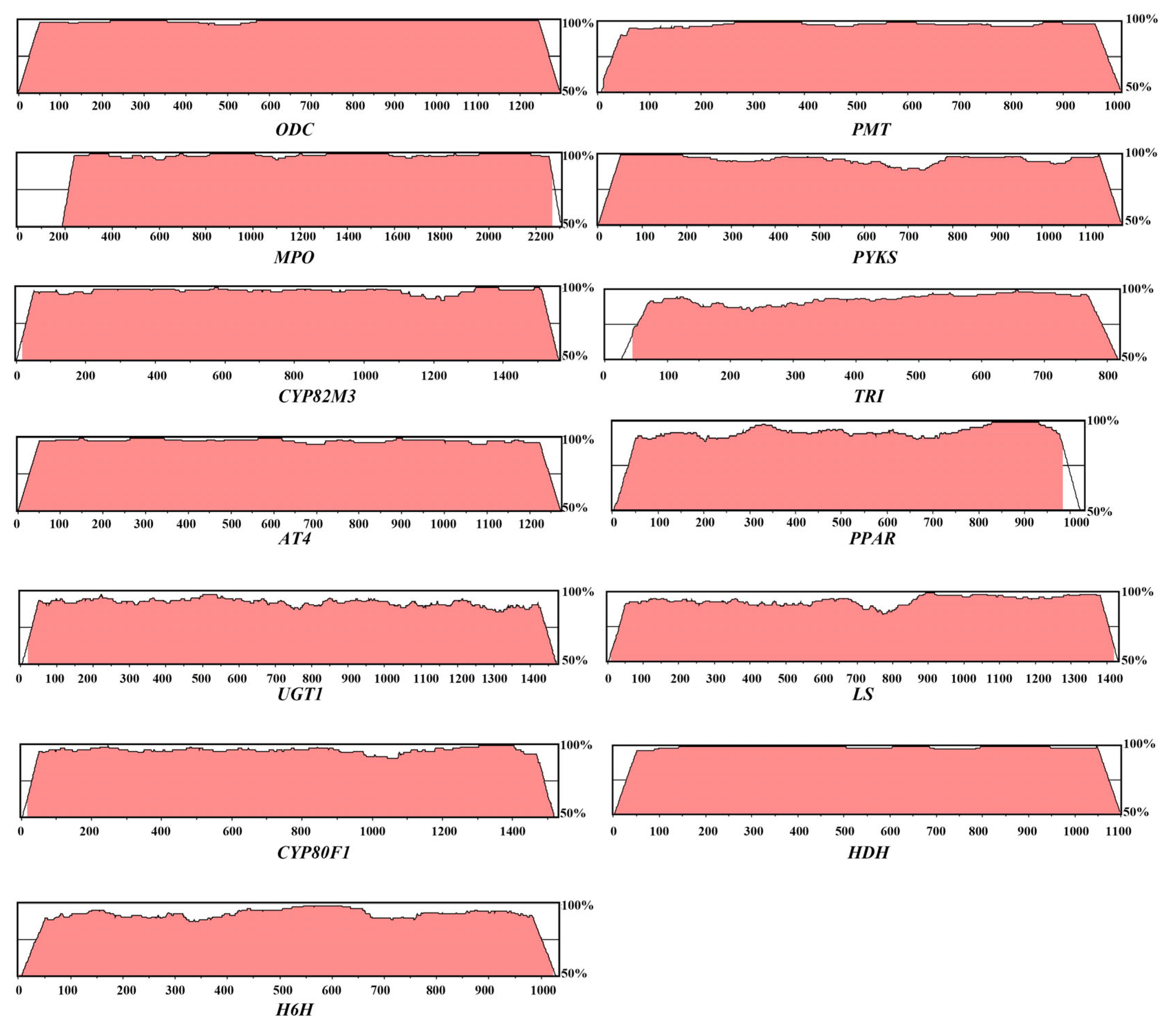 Agronomy 14 02460 g001