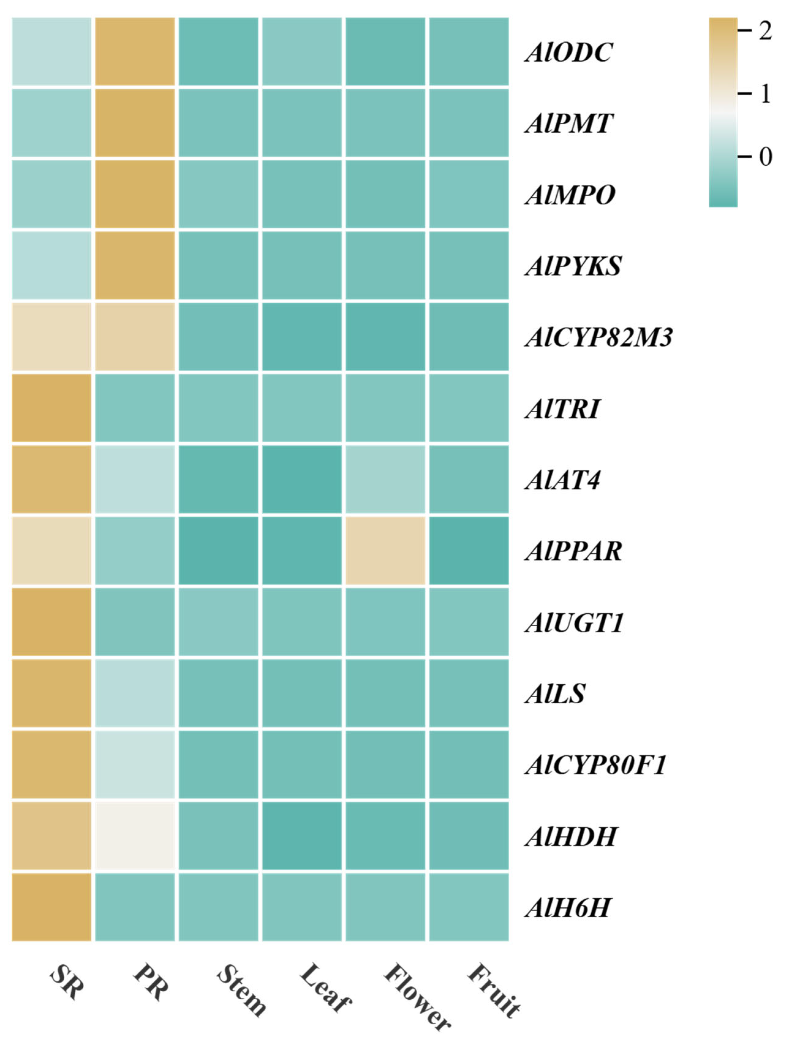 Agronomy 14 02460 g002