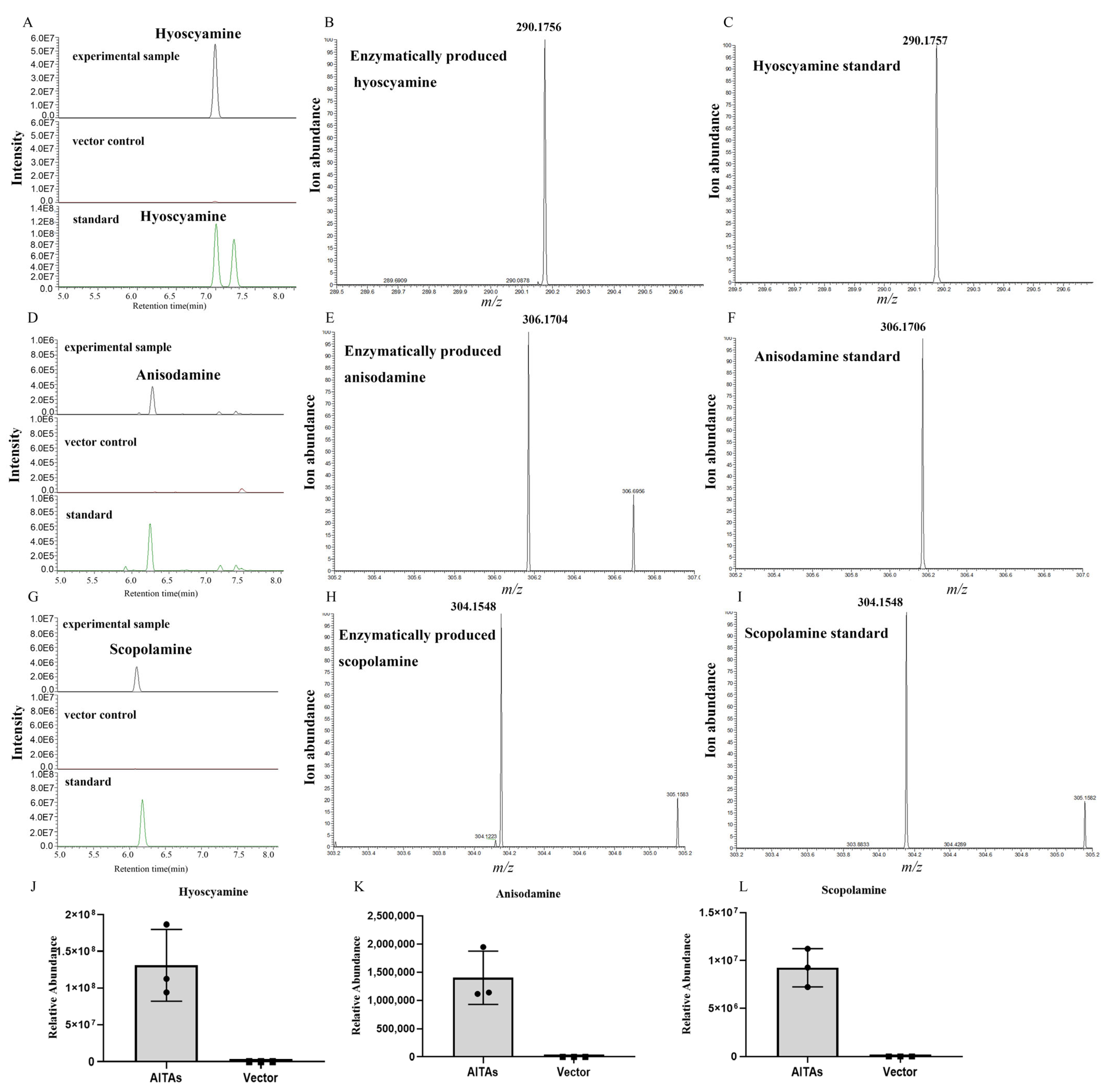 Agronomy 14 02460 g004