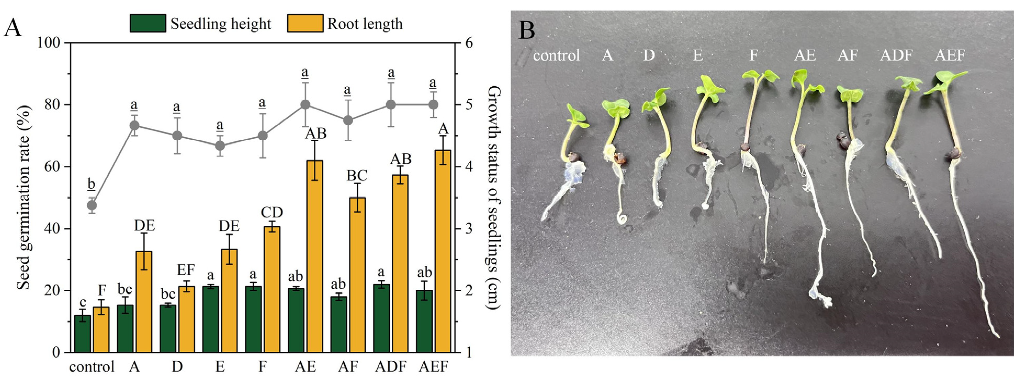 Agronomy 14 02461 g003
