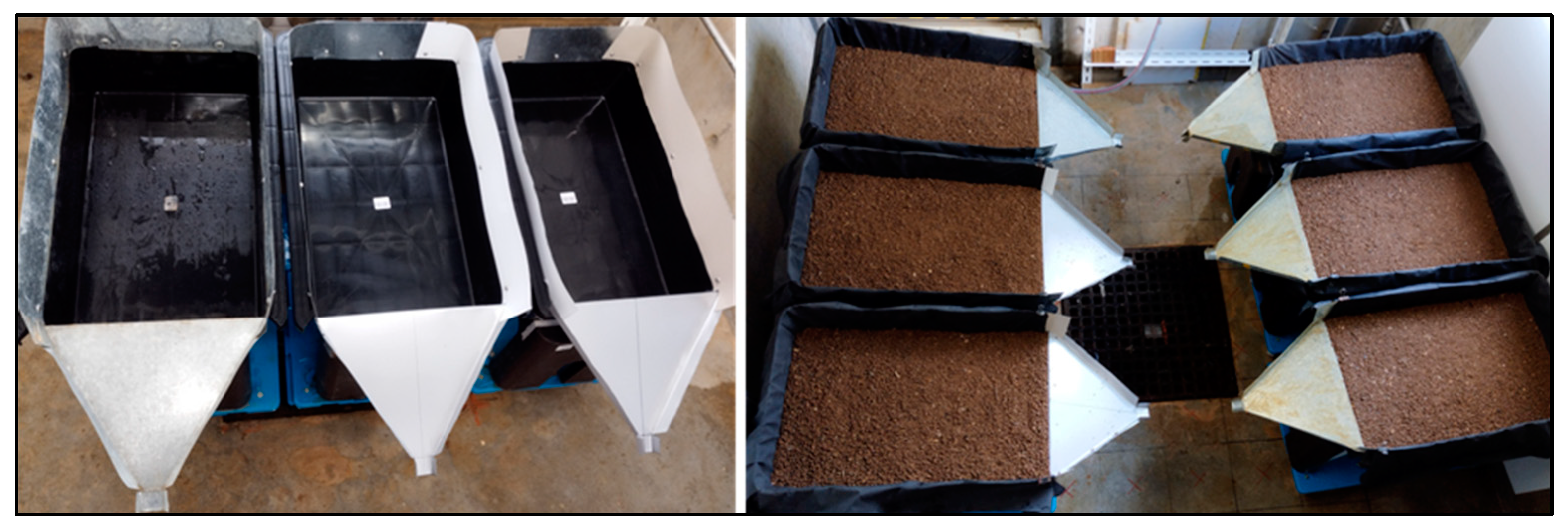 Agronomy 14 02467 g001