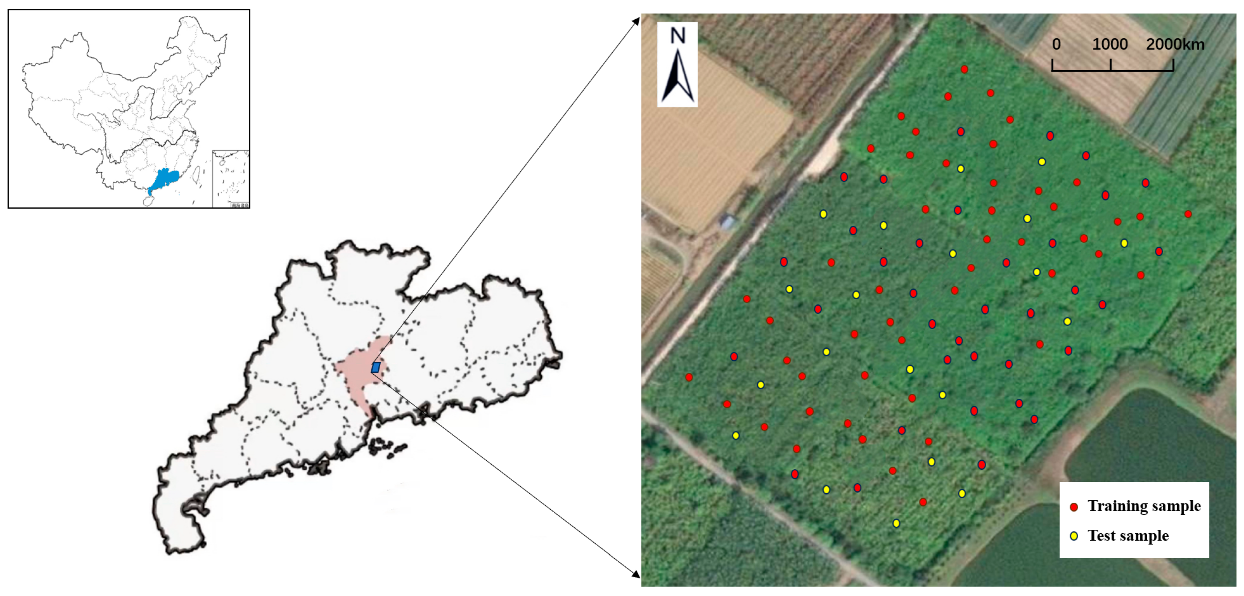 Agronomy 14 02469 g002