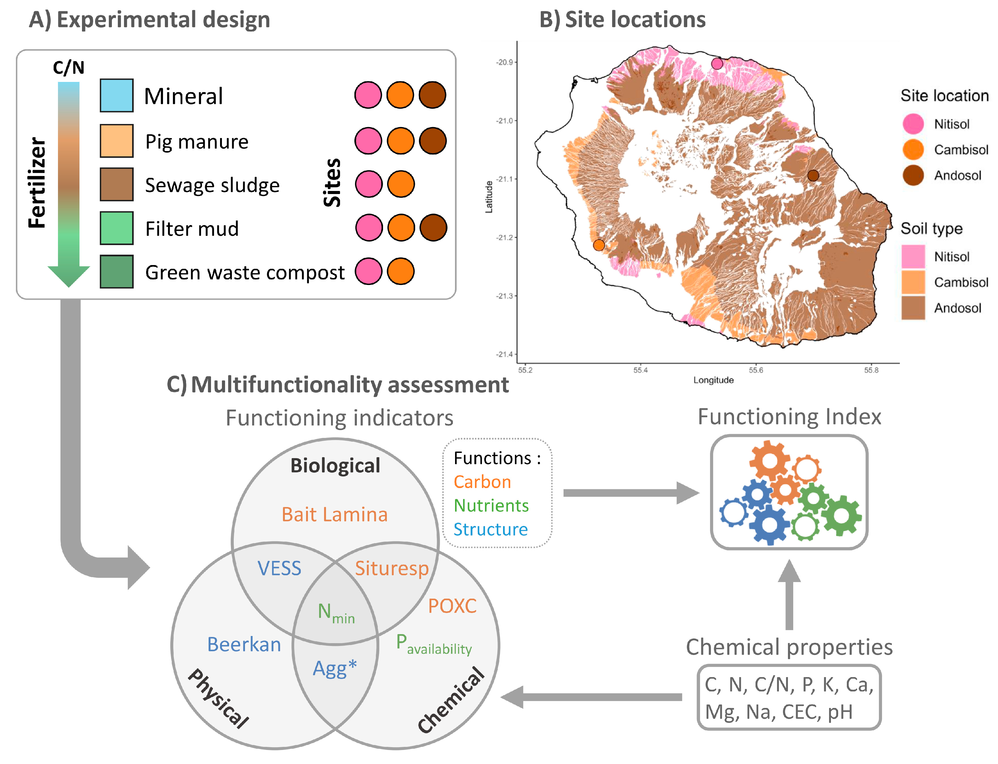 Agronomy 14 02475 g001