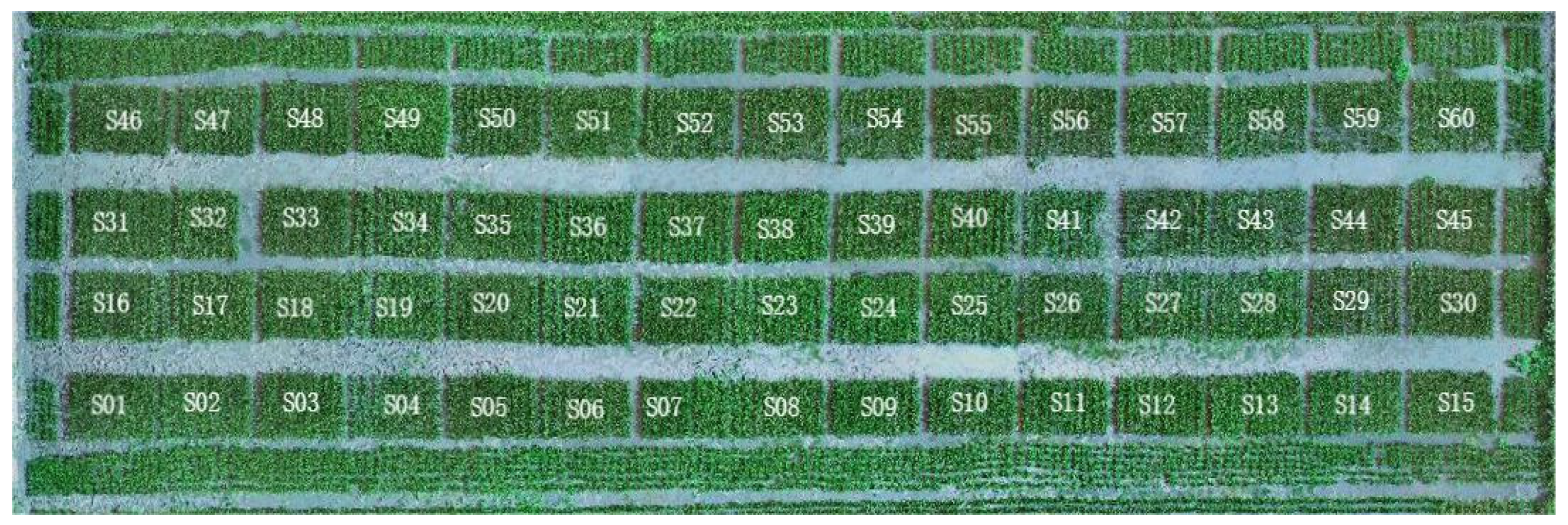 Agronomy 14 02479 g001