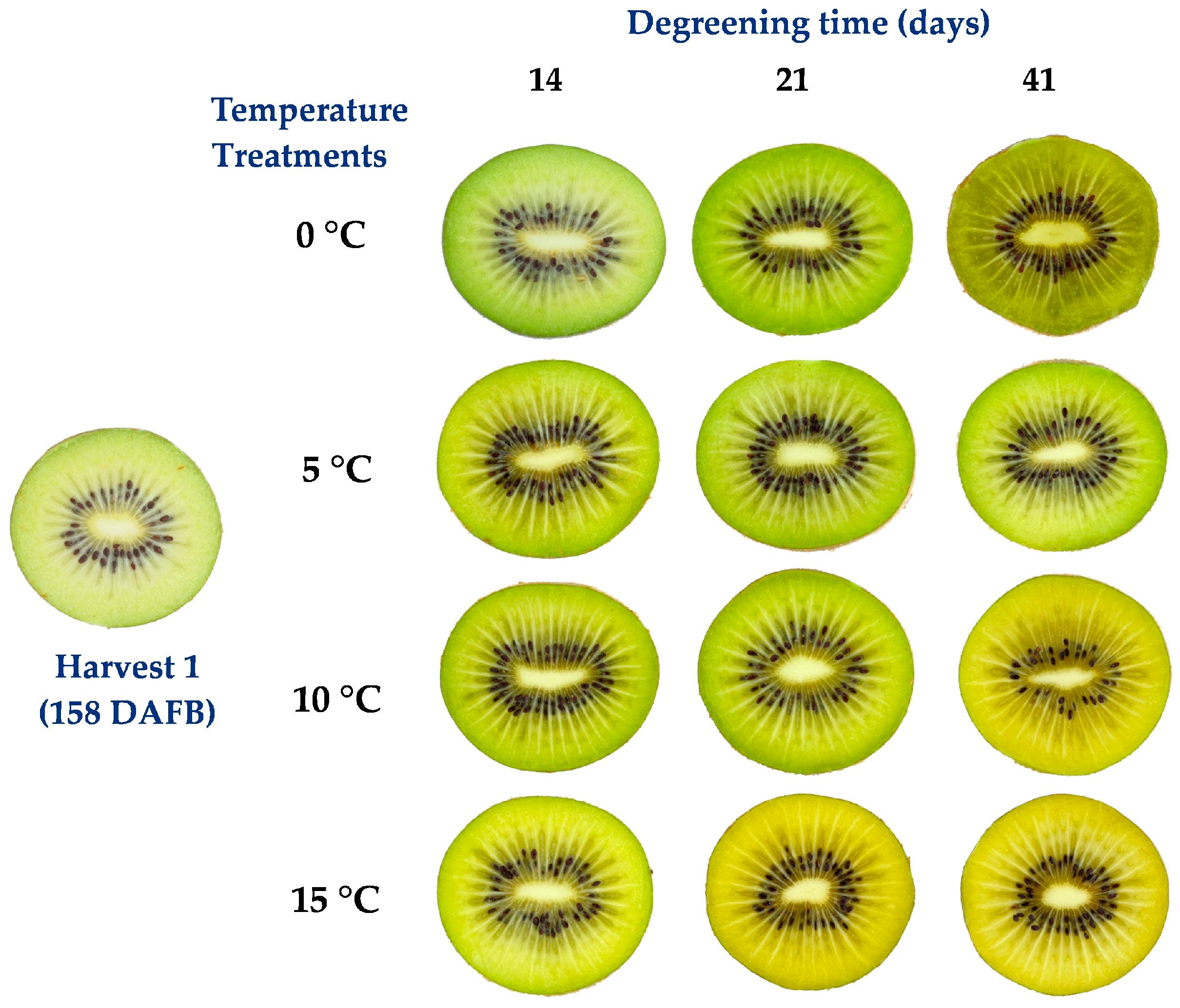 Agronomy 14 02481 g002