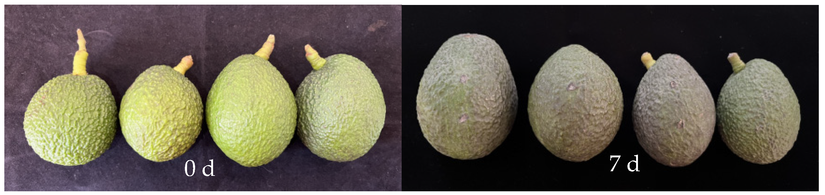 Agronomy 14 02487 g001