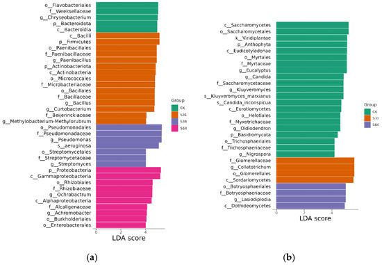 Effects of Anthracnose on the Structure and Diversity of