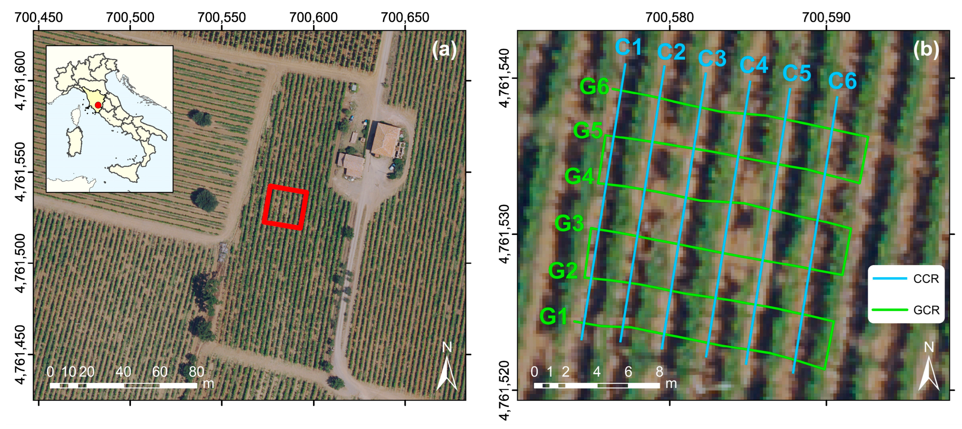 Agronomy 14 02489 g001 Agronomy 14 02489 g001