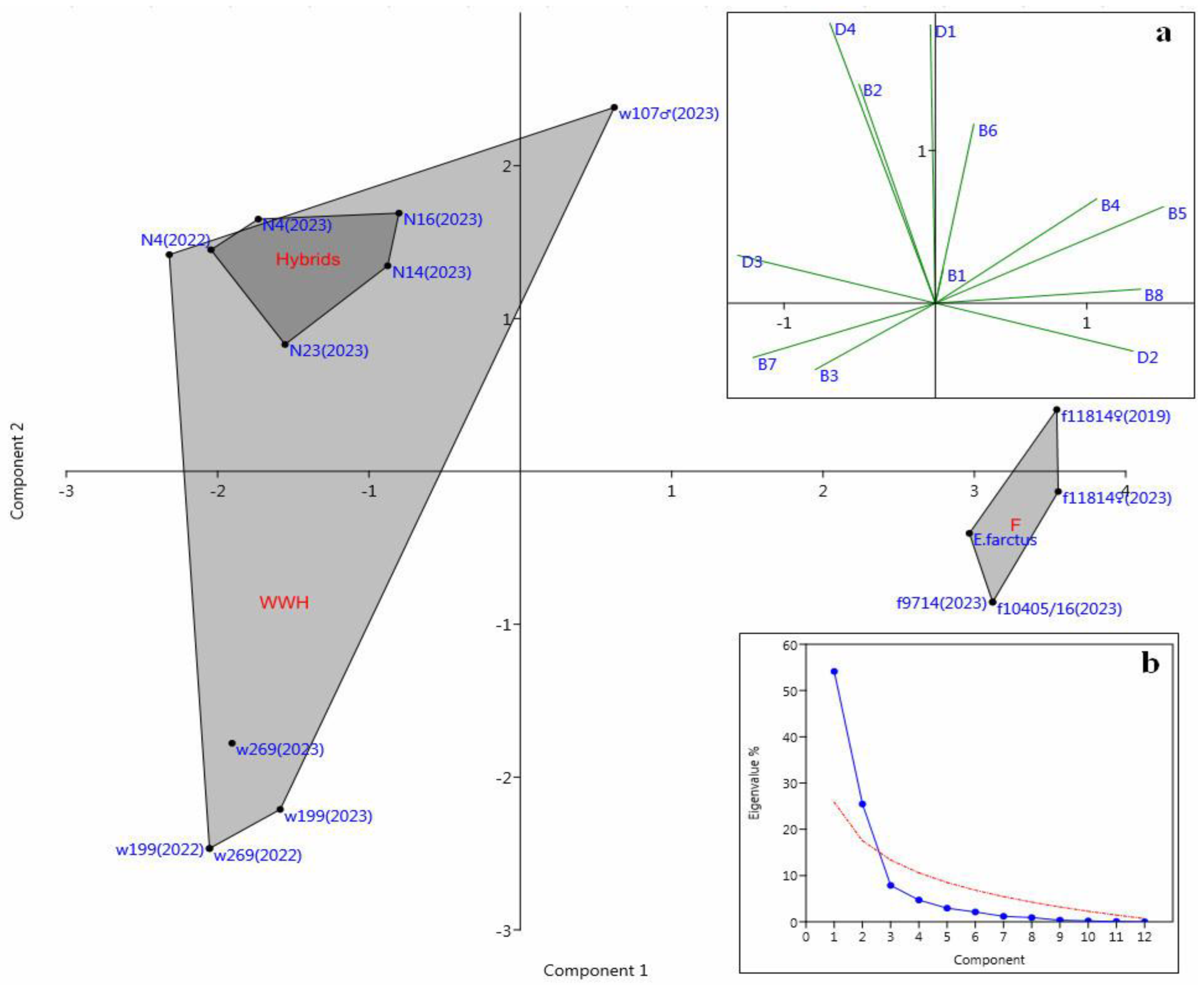Agronomy 14 02490 g004