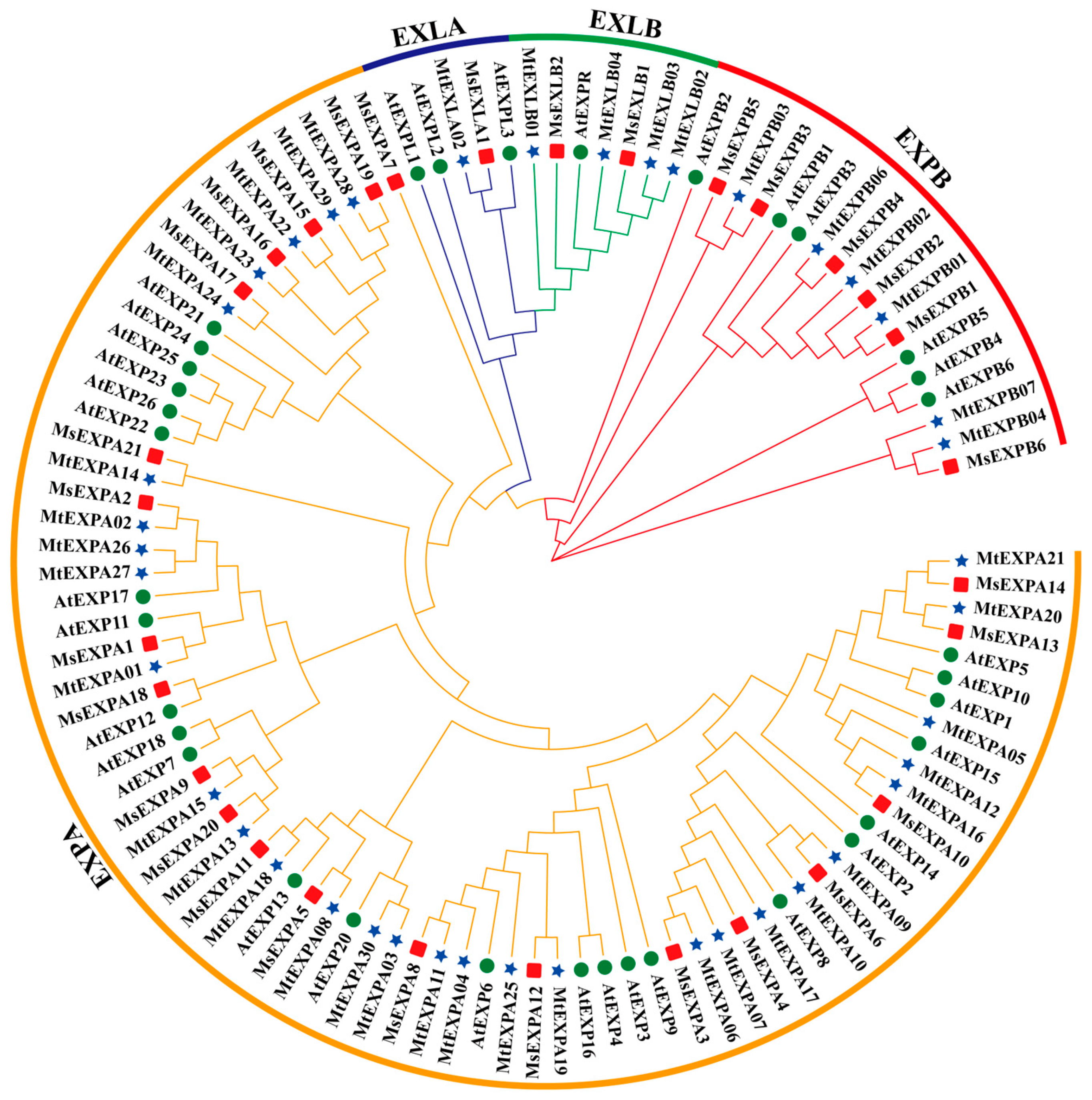 Agronomy 14 02492 g001