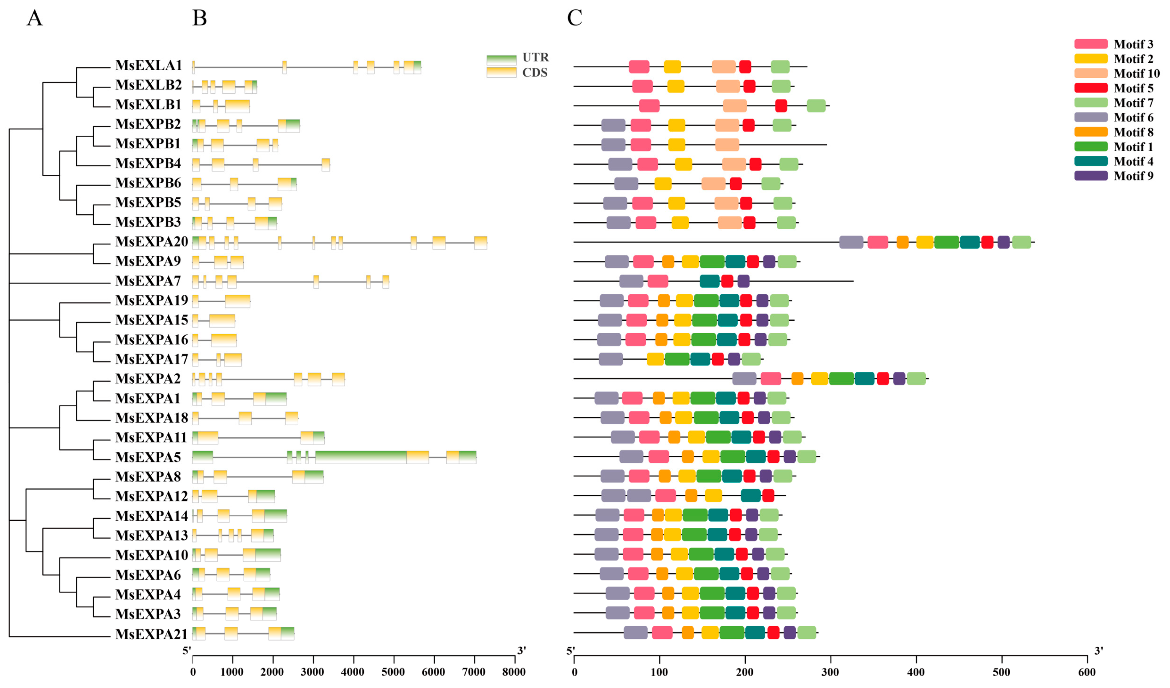 Agronomy 14 02492 g003