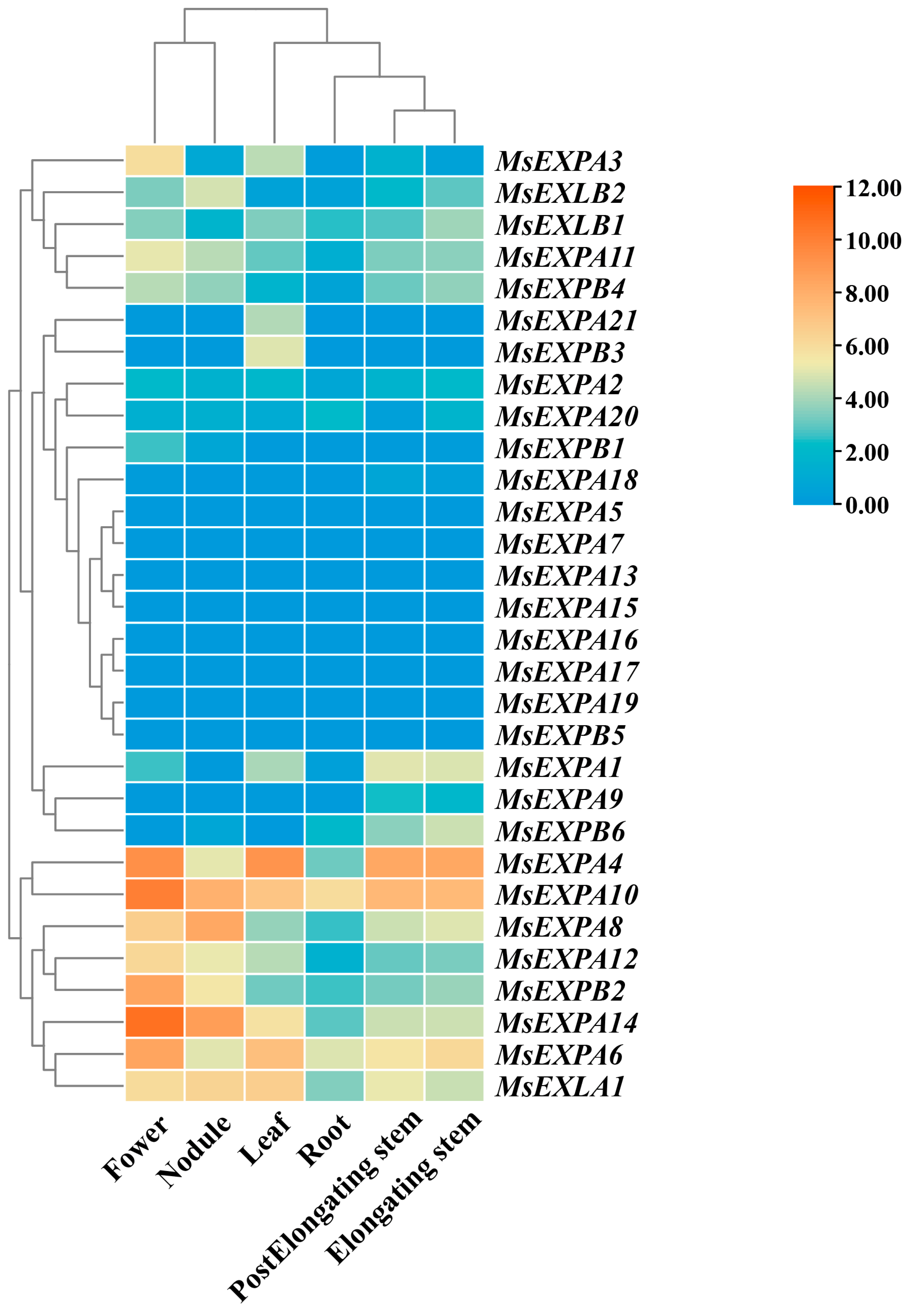 Agronomy 14 02492 g005