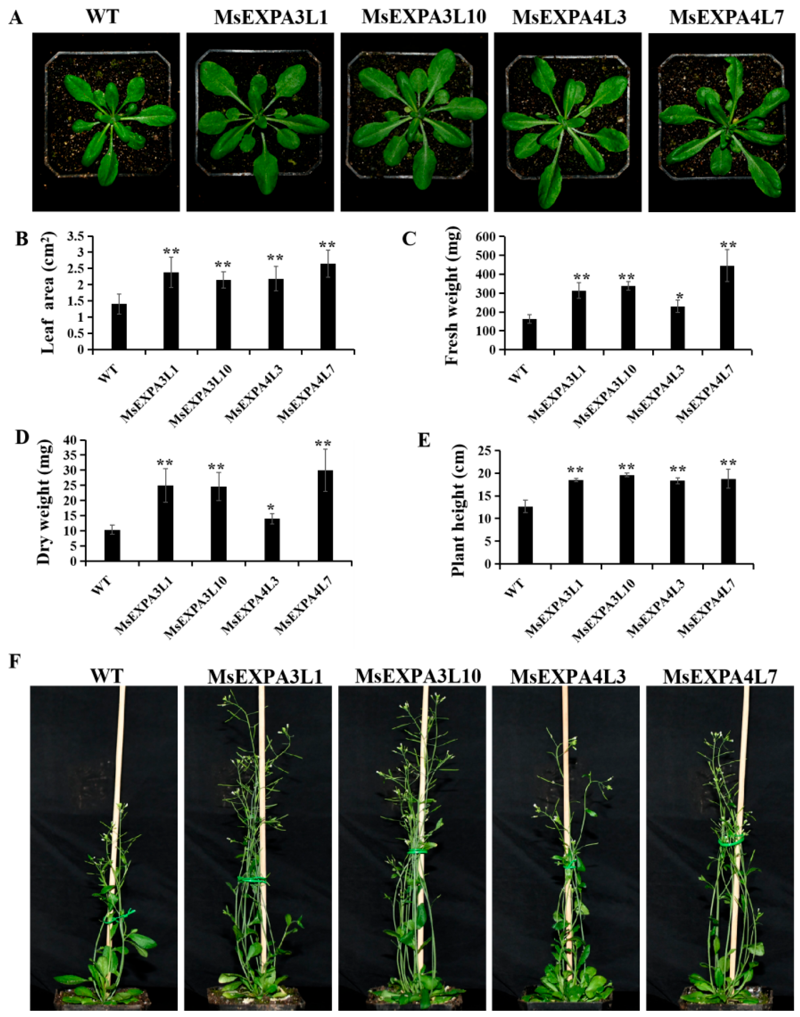 Agronomy 14 02492 g007