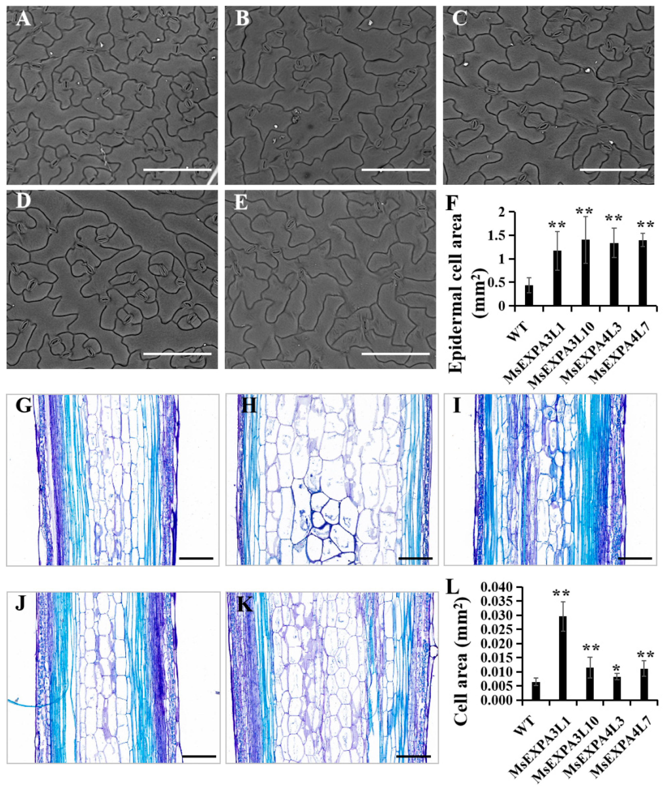 Agronomy 14 02492 g009