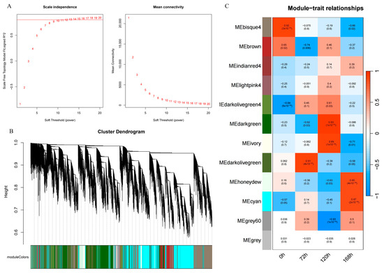 Analysis of Alternative Splicing Events and Identification