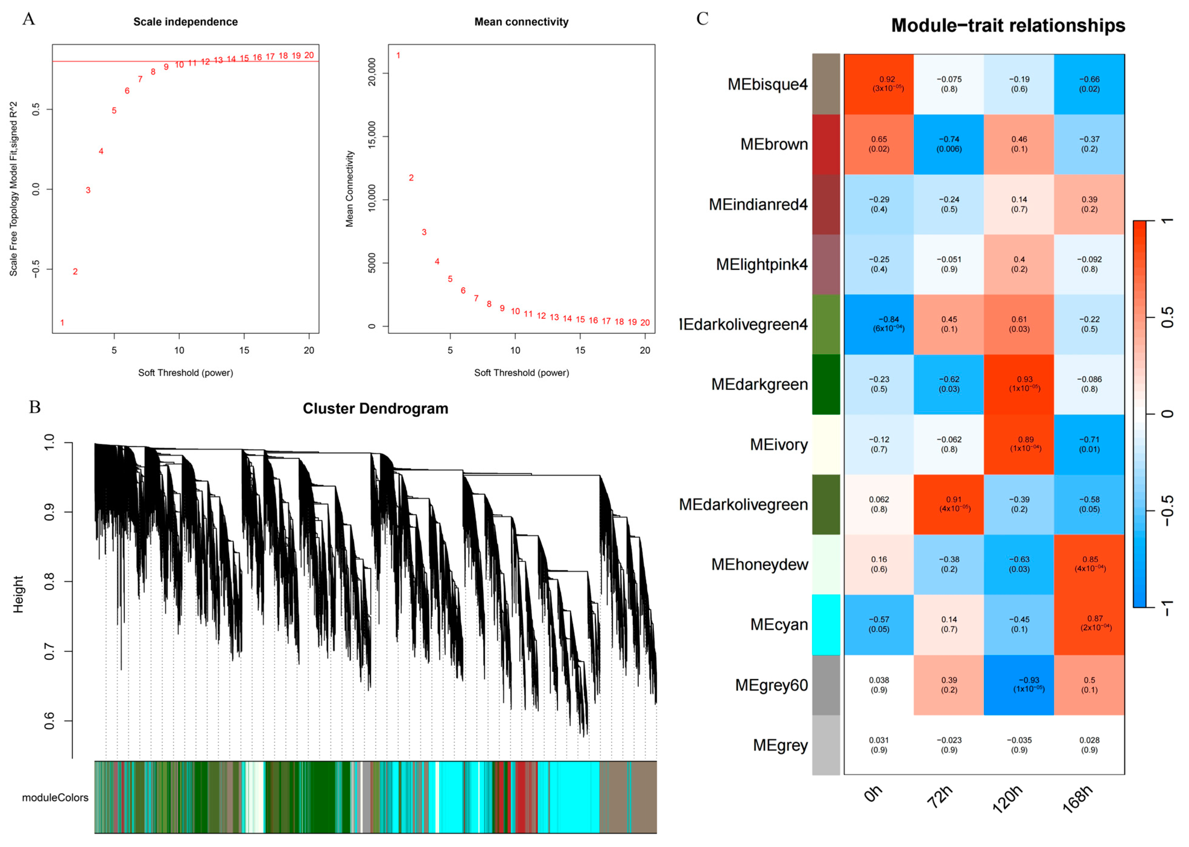 Agronomy 14 02500 g004