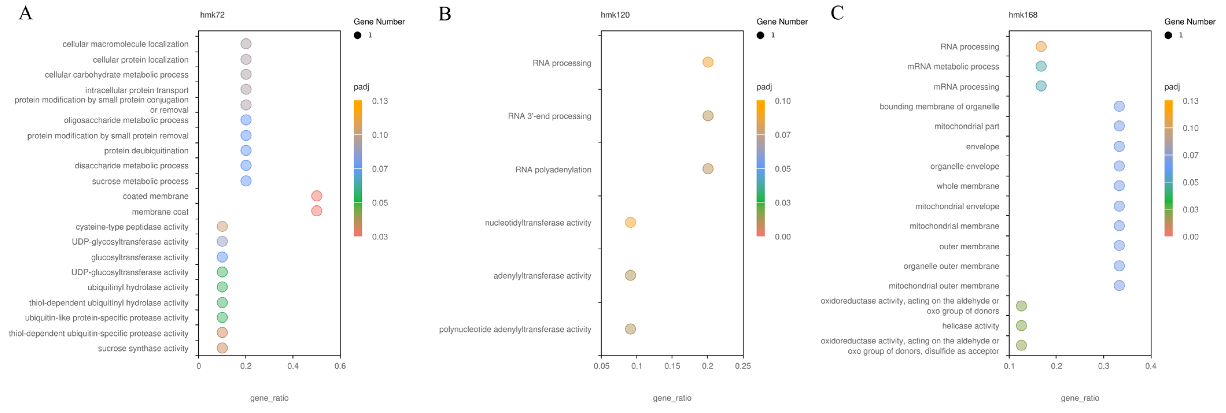 Analysis of Alternative Splicing Events and Identification