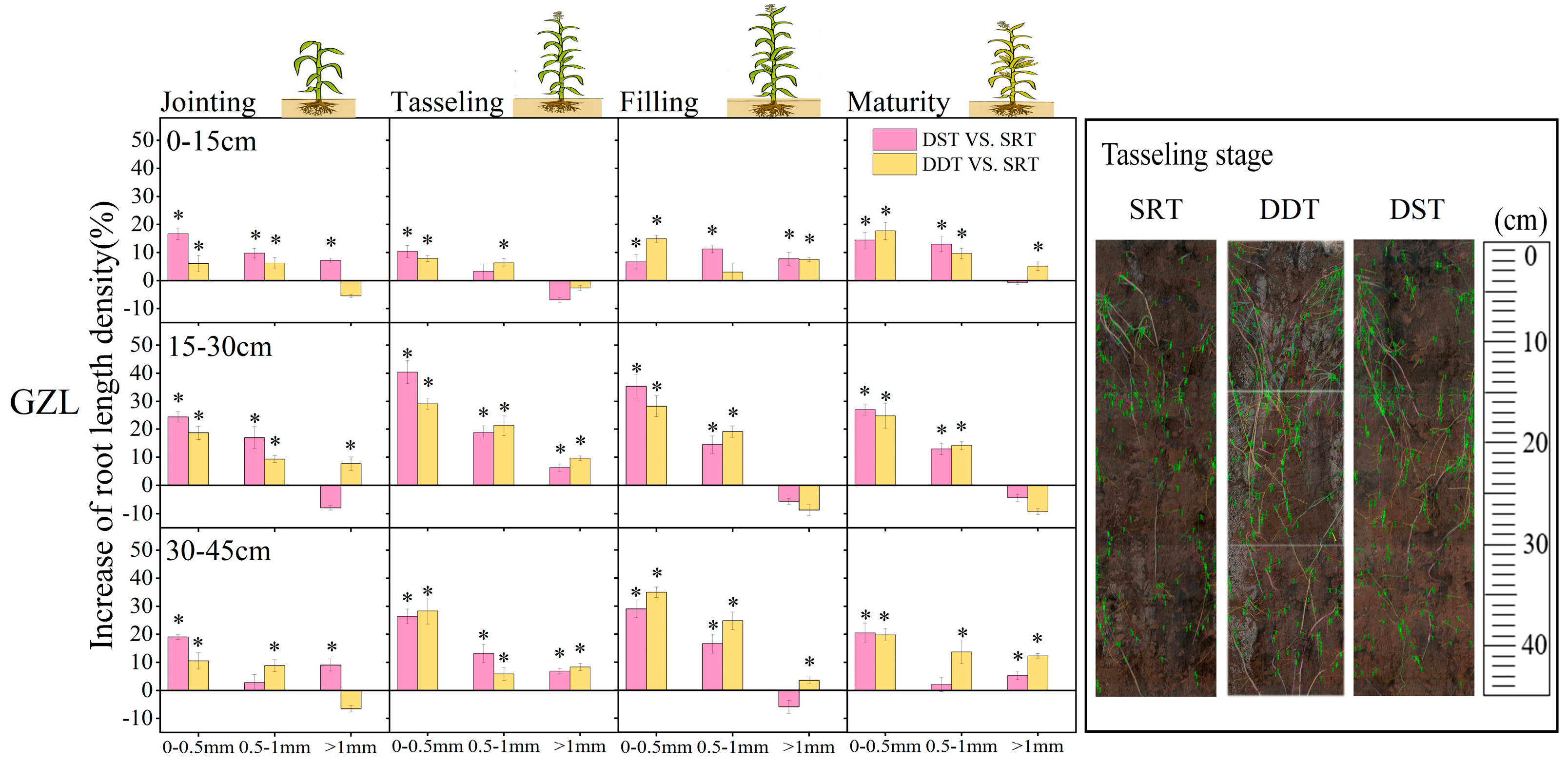 Agronomy 14 02504 g006a